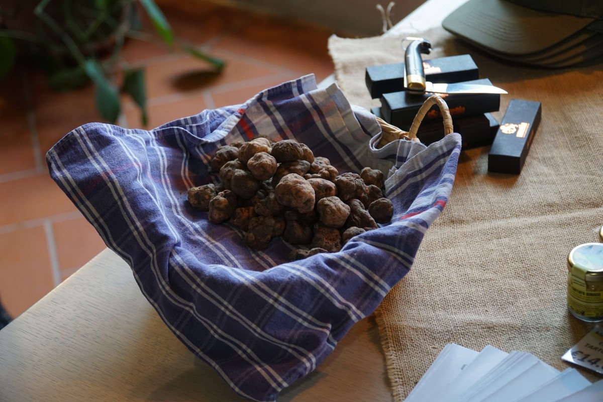 Marzuolo truffle