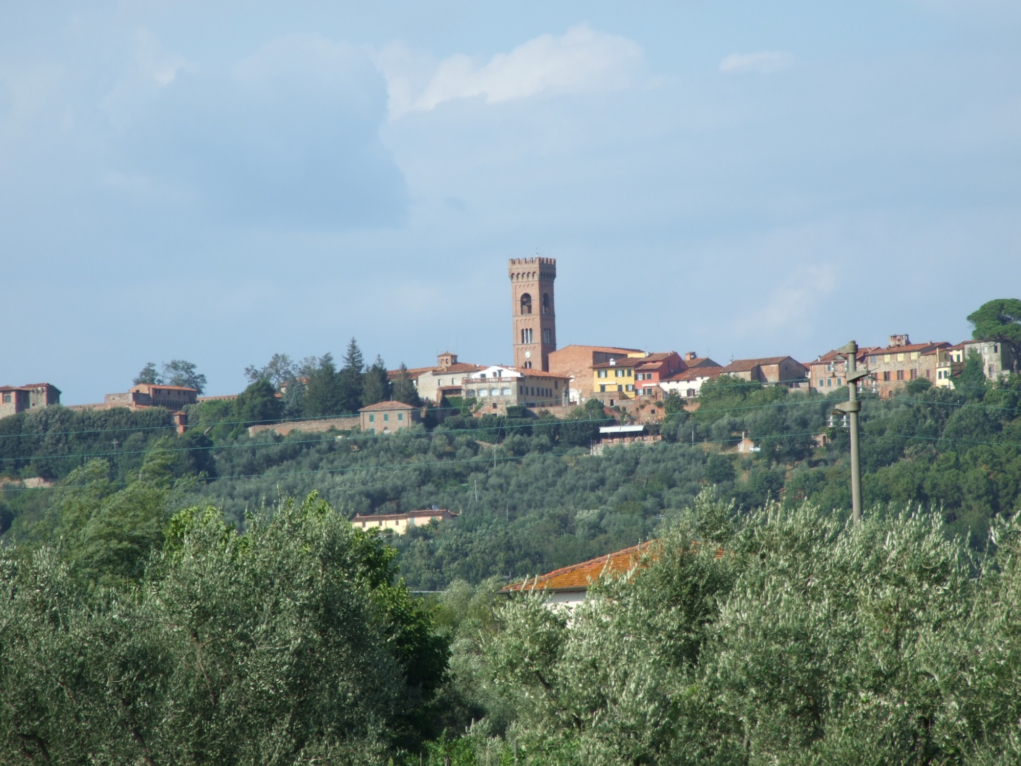 Discover Lucca and the gentle hills of Montecarlo by bike
