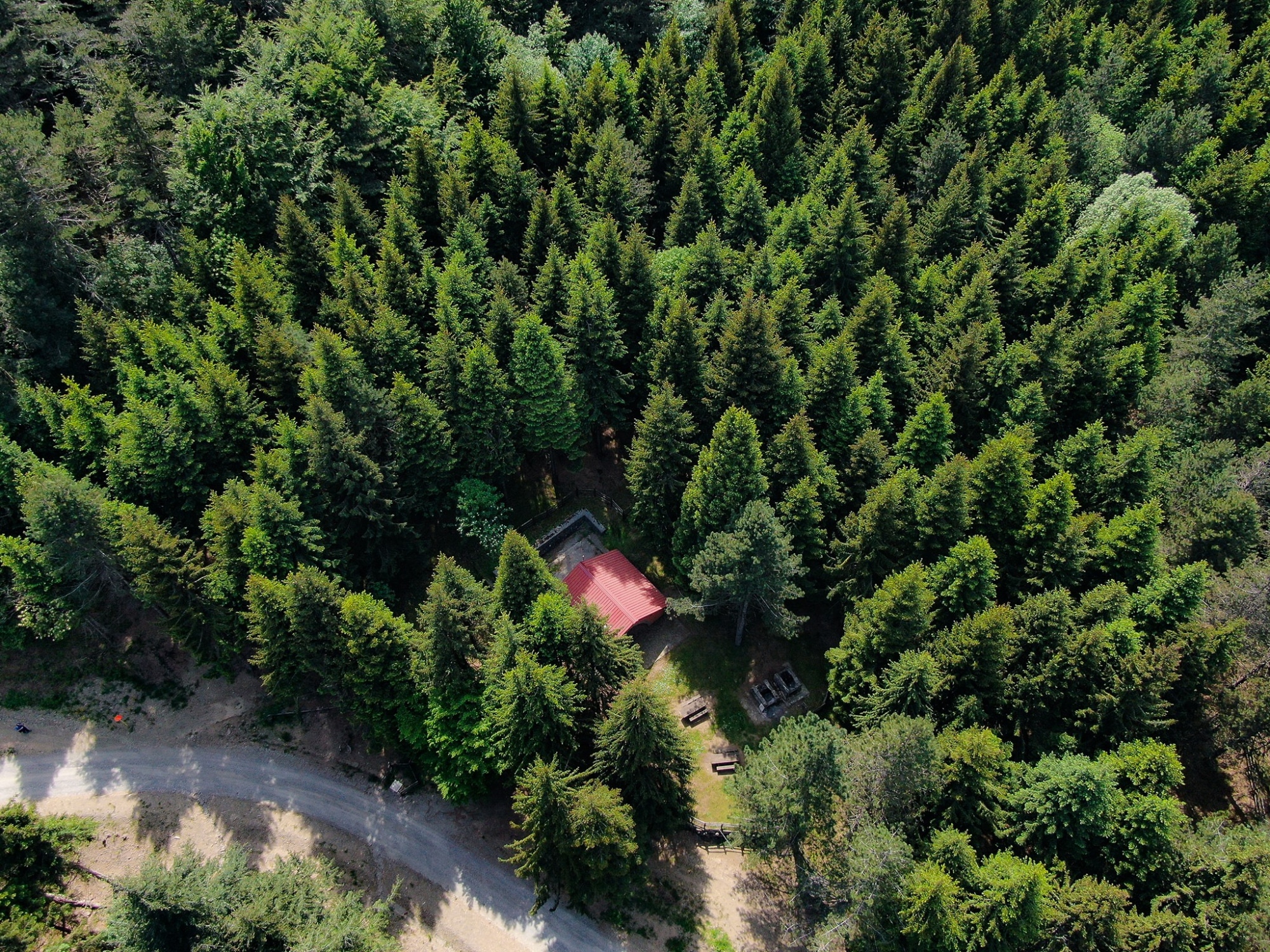 Aerial view on the Brattello Forest