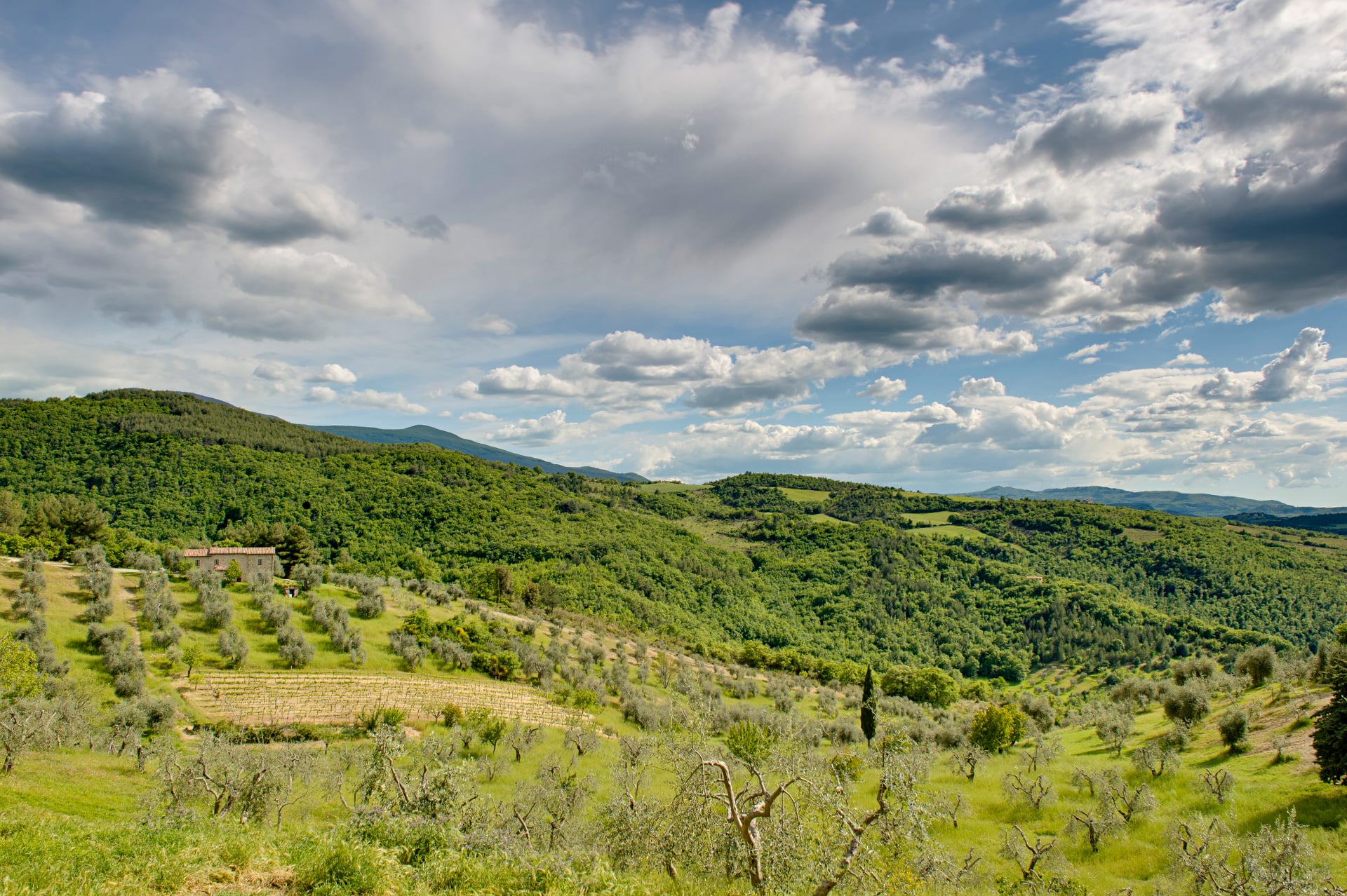 Bindozzino, una finca rural de 30 hectáreas.