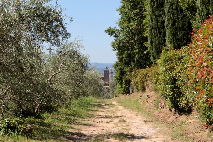 The Strada Verde leading to the Birthplace of Leonardo