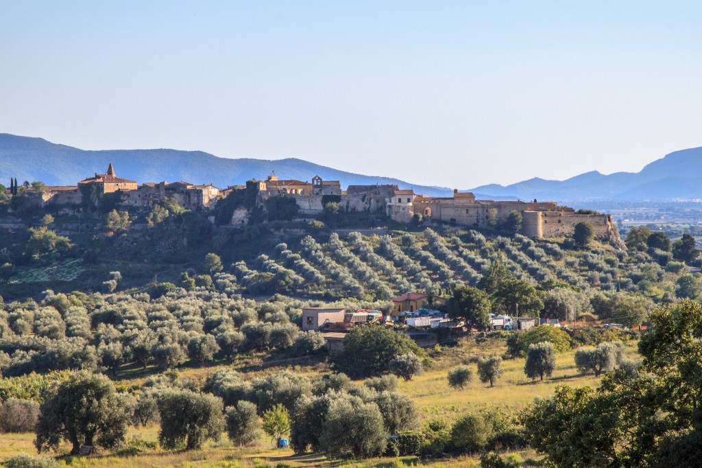 A view of Magliano in Toscana