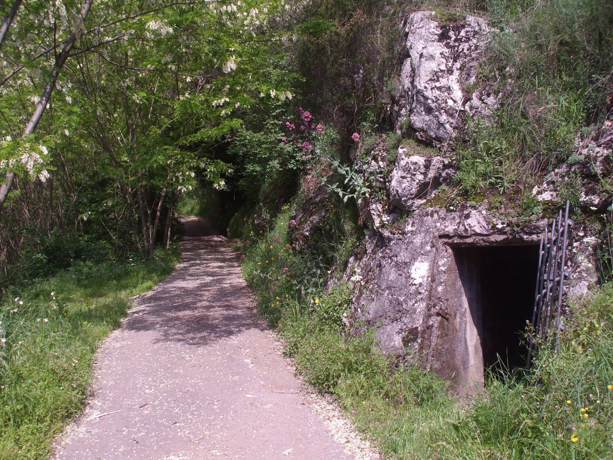 Uno dei bunker della Linea Gotica