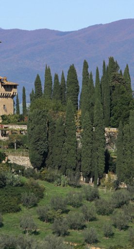 Trebbio Castle