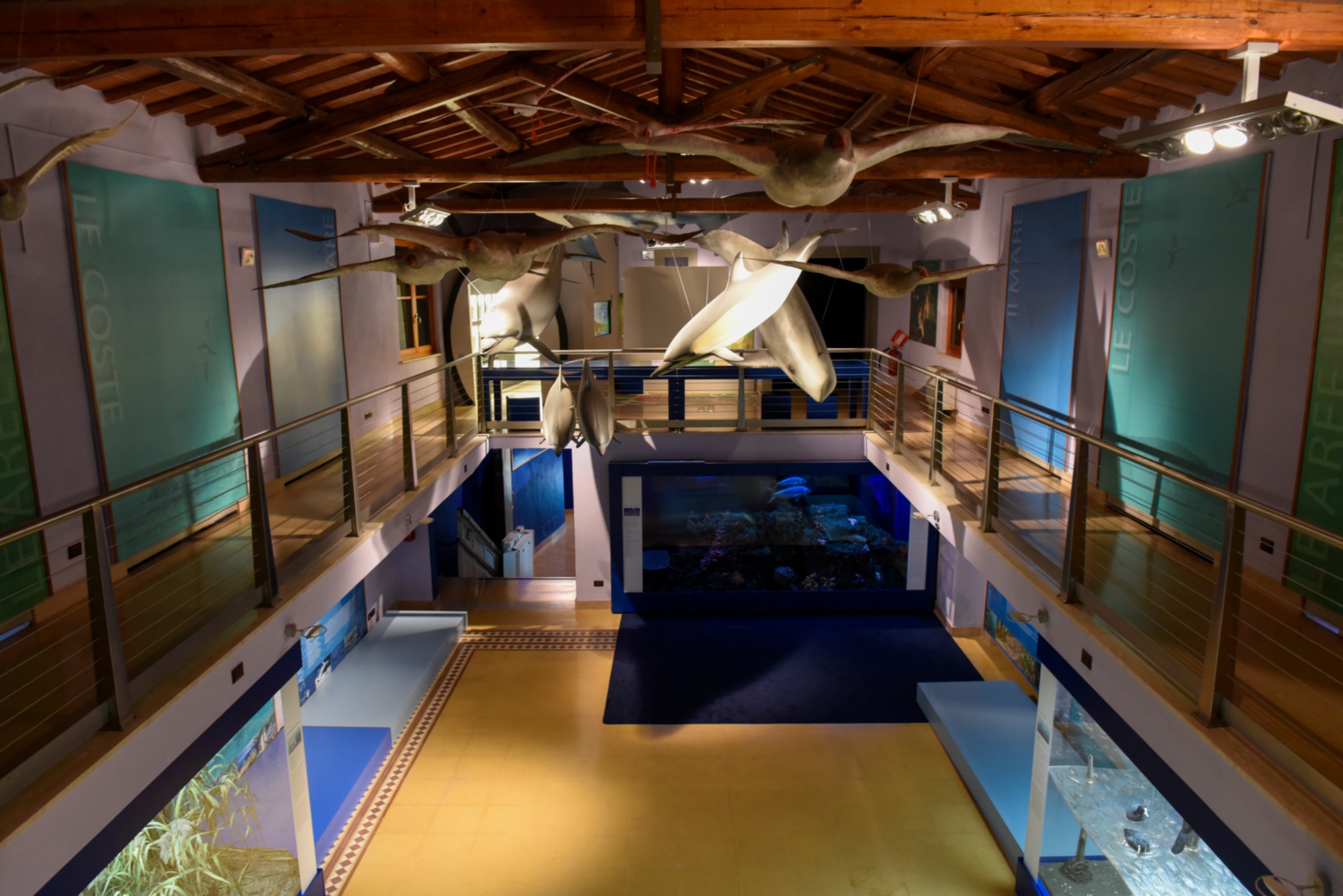 Natural History Museum of the Maremma