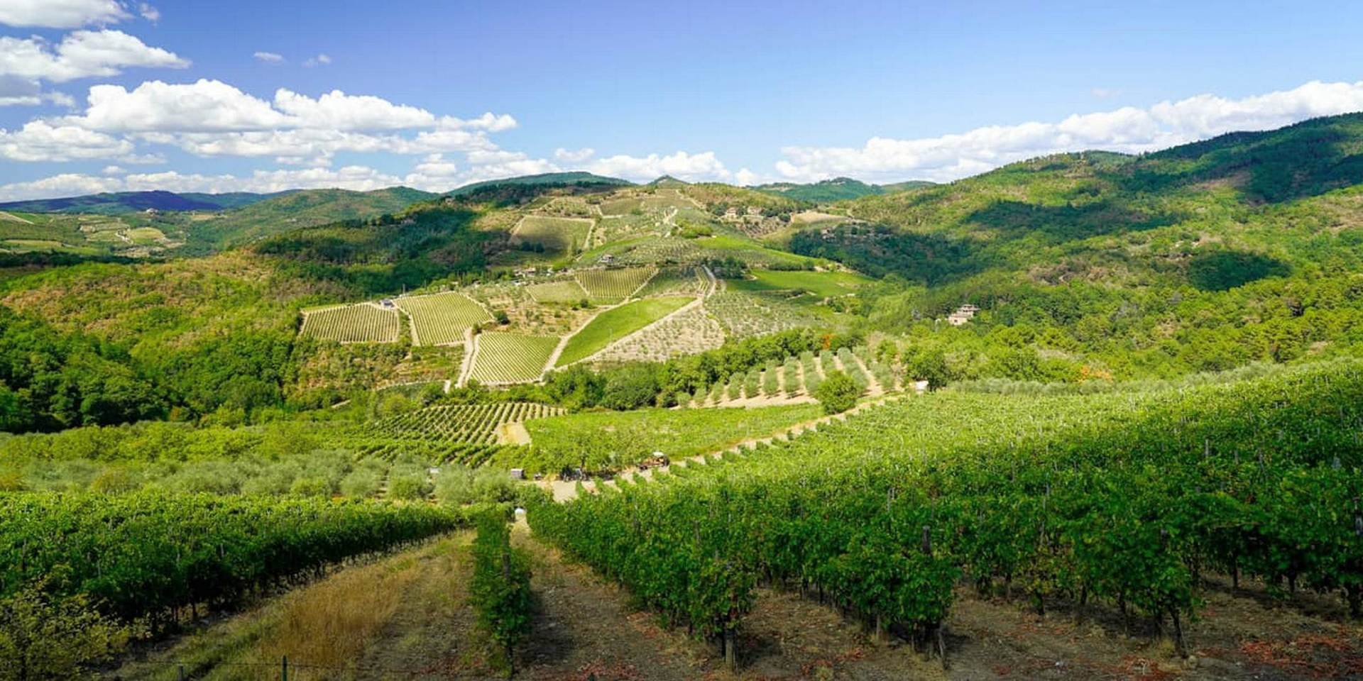 Un tour nel Chianti alla scoperta del territorio di Lamole