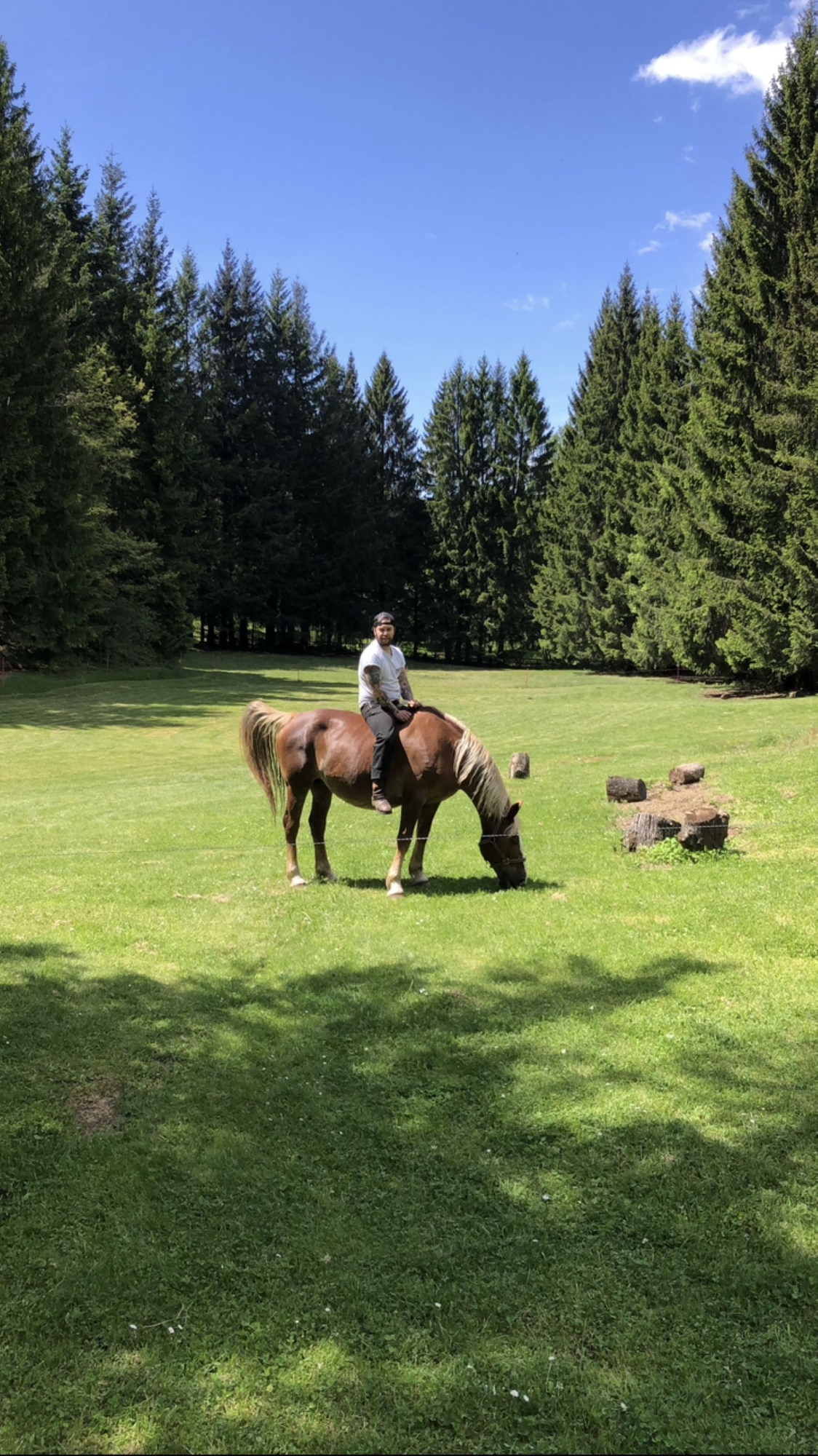 Horse riding in the nature of Villa Basilica with tasting of seasonal products