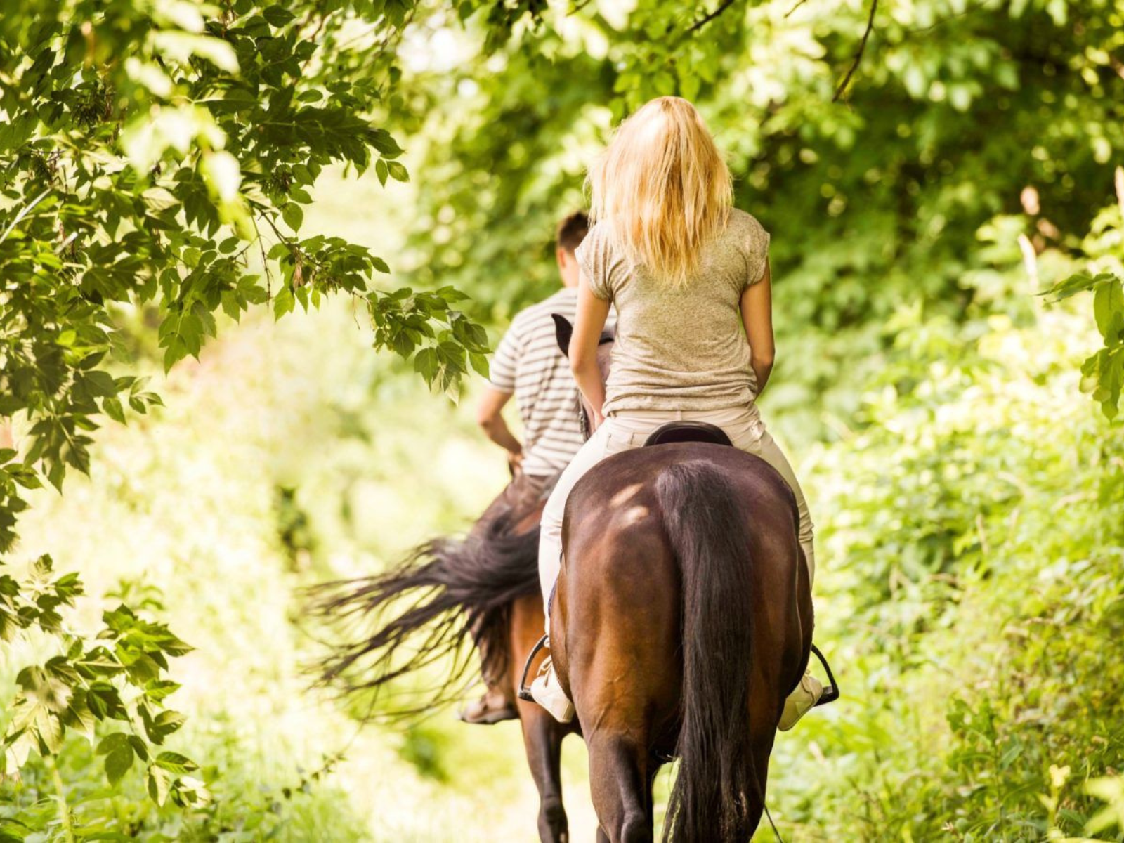 Indimenticabile soggiorno con passeggiata a cavallo nel Parco Naturale di Rimigliano