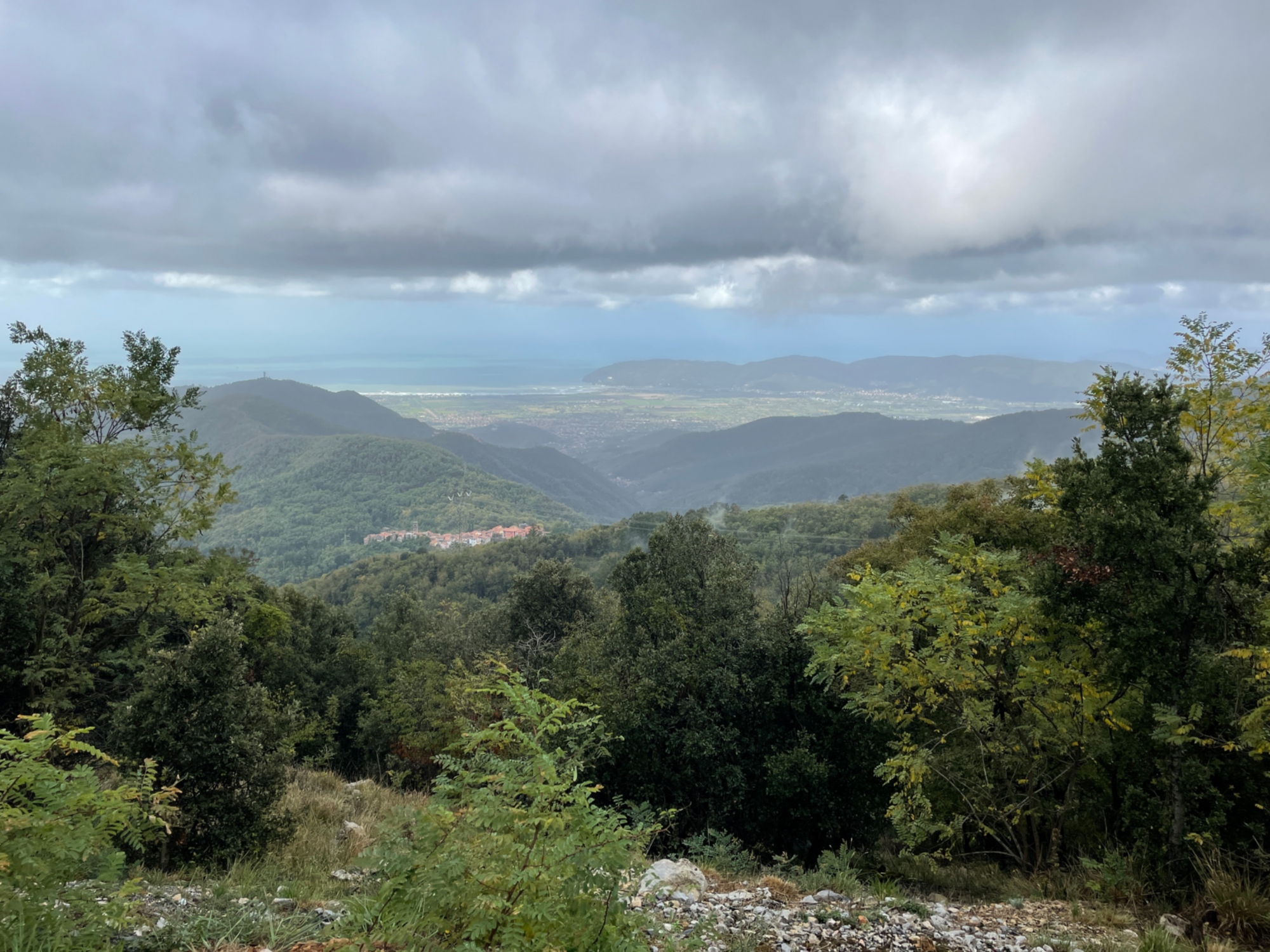 Forests and views of the Apuan Riviera
