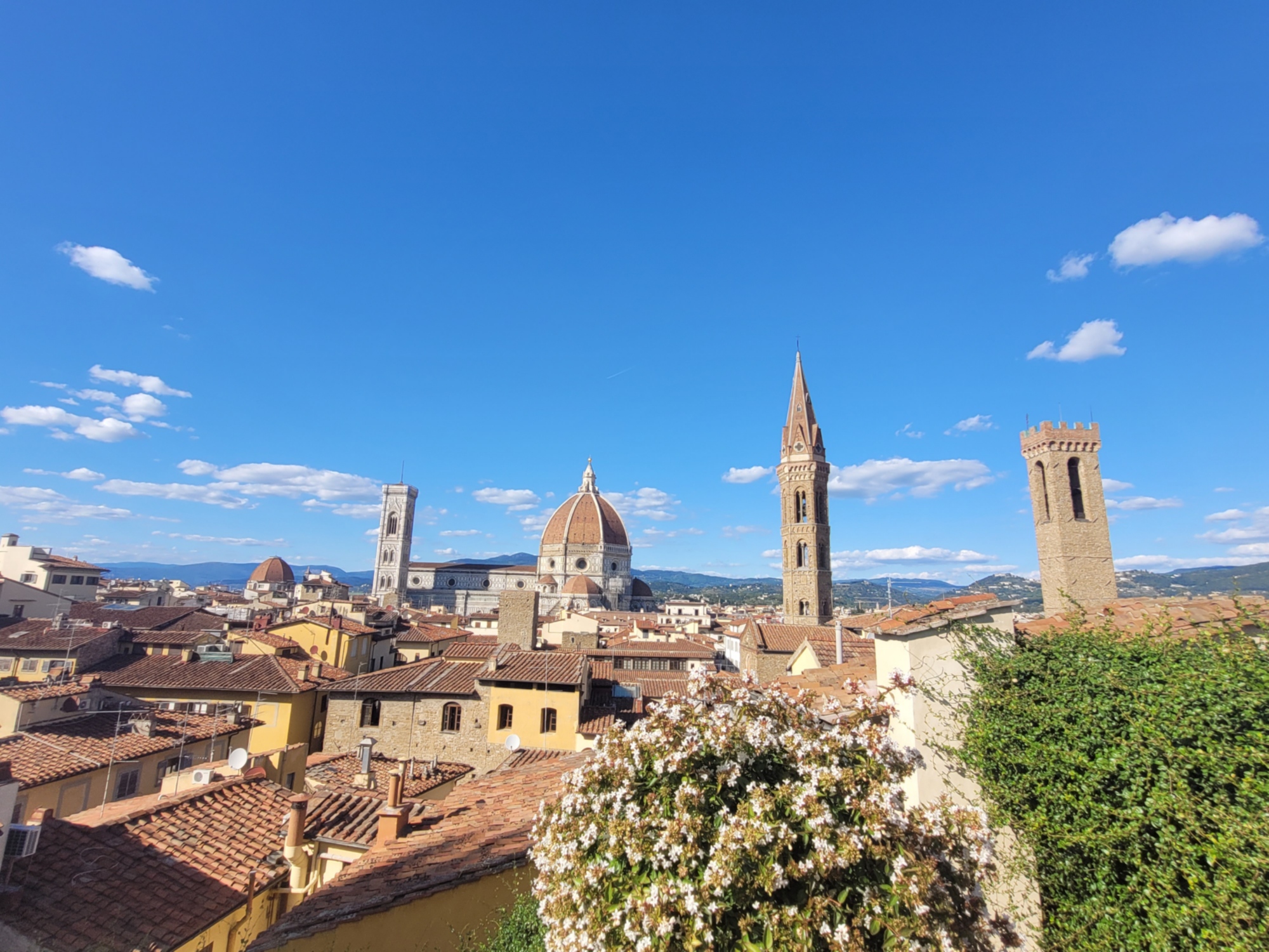 Tour of the history and art of Florence