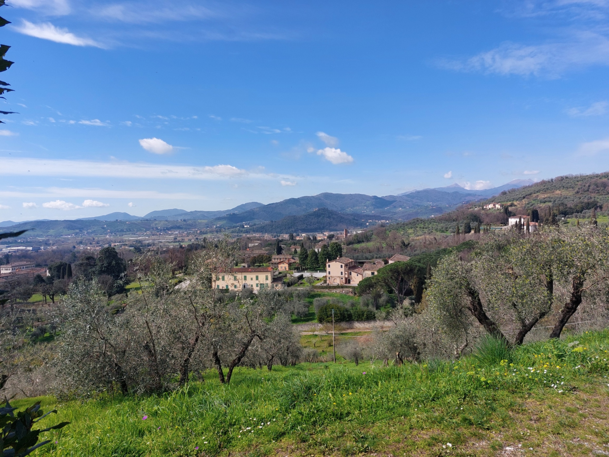 Tour delle ville nella campagna lucchese