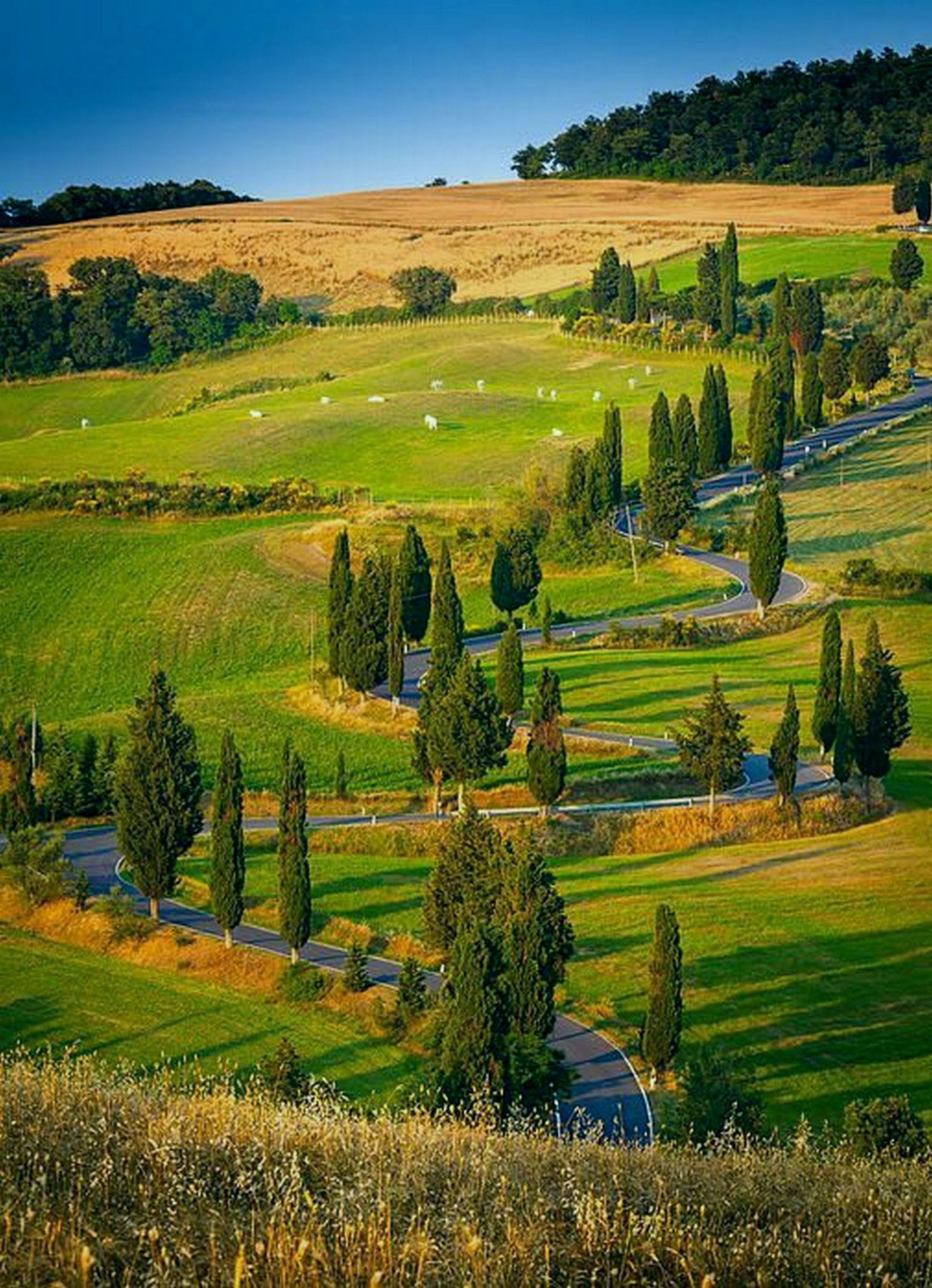 In the crete sea of val d'Orcia