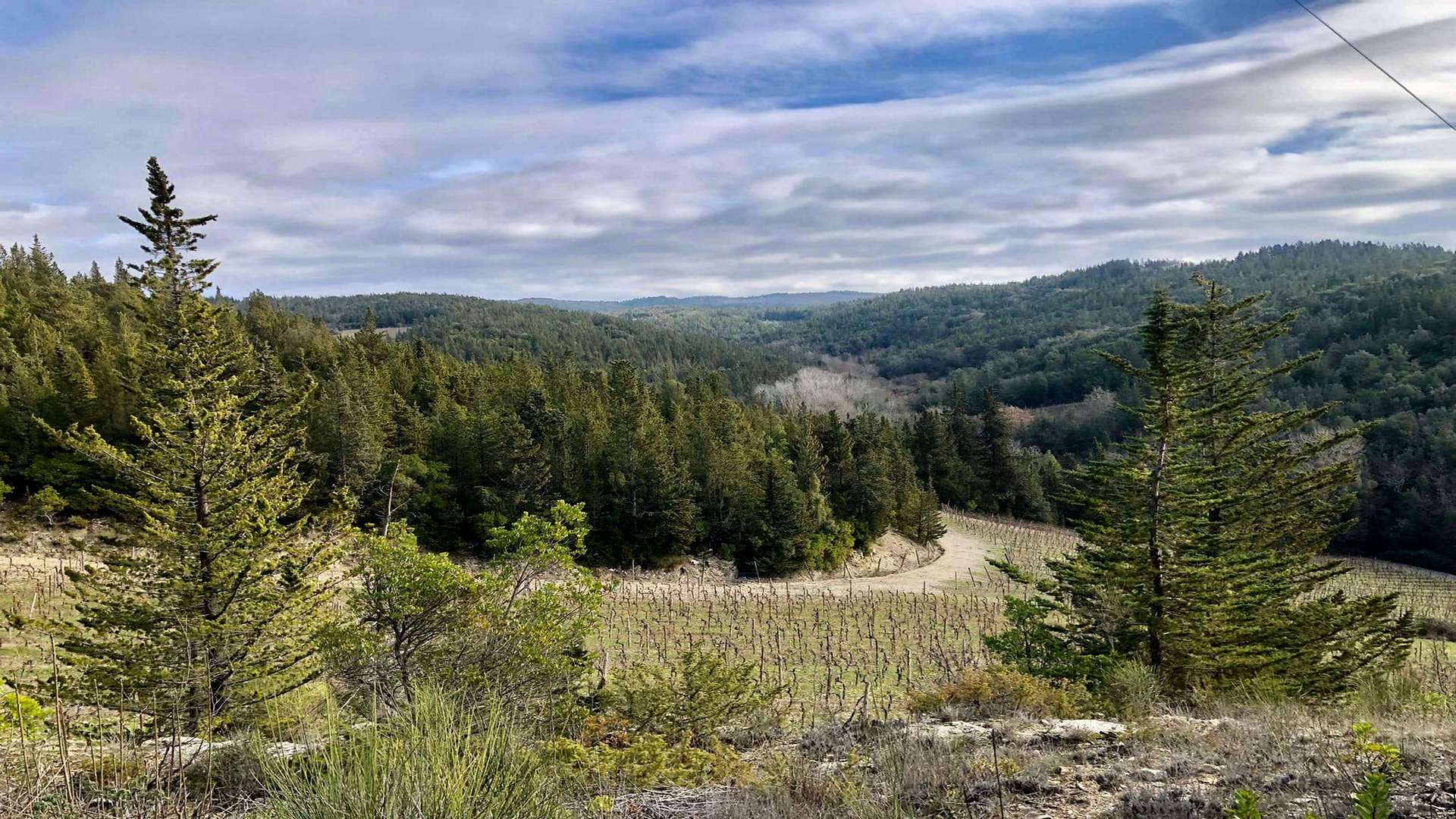 Un tour nel Chianti alla scoperta del territorio di Lamole