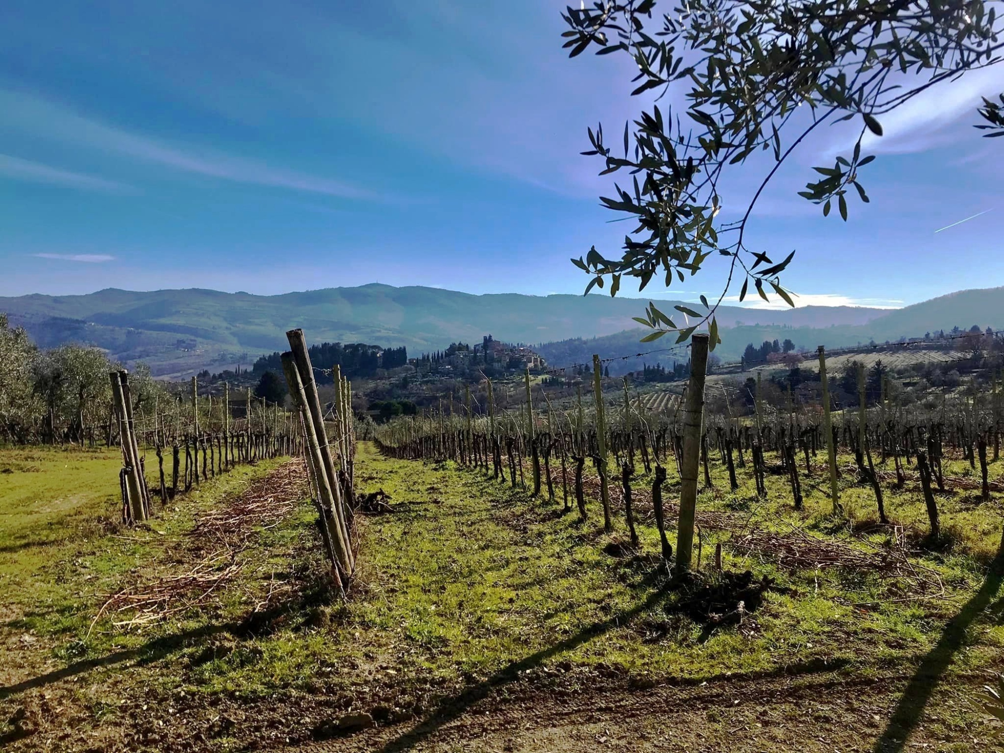 Escursione da Greve in Chianti a Montefioralle in occasione della famosa Sagra delle Frittelle