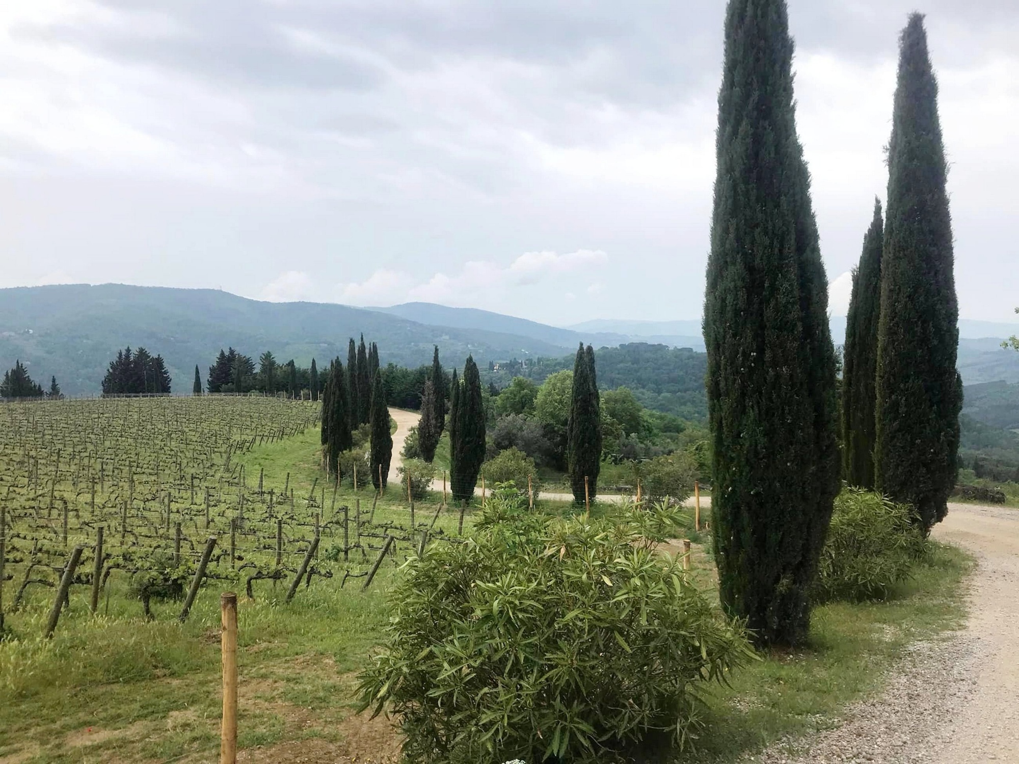 Chianti Classico Tours