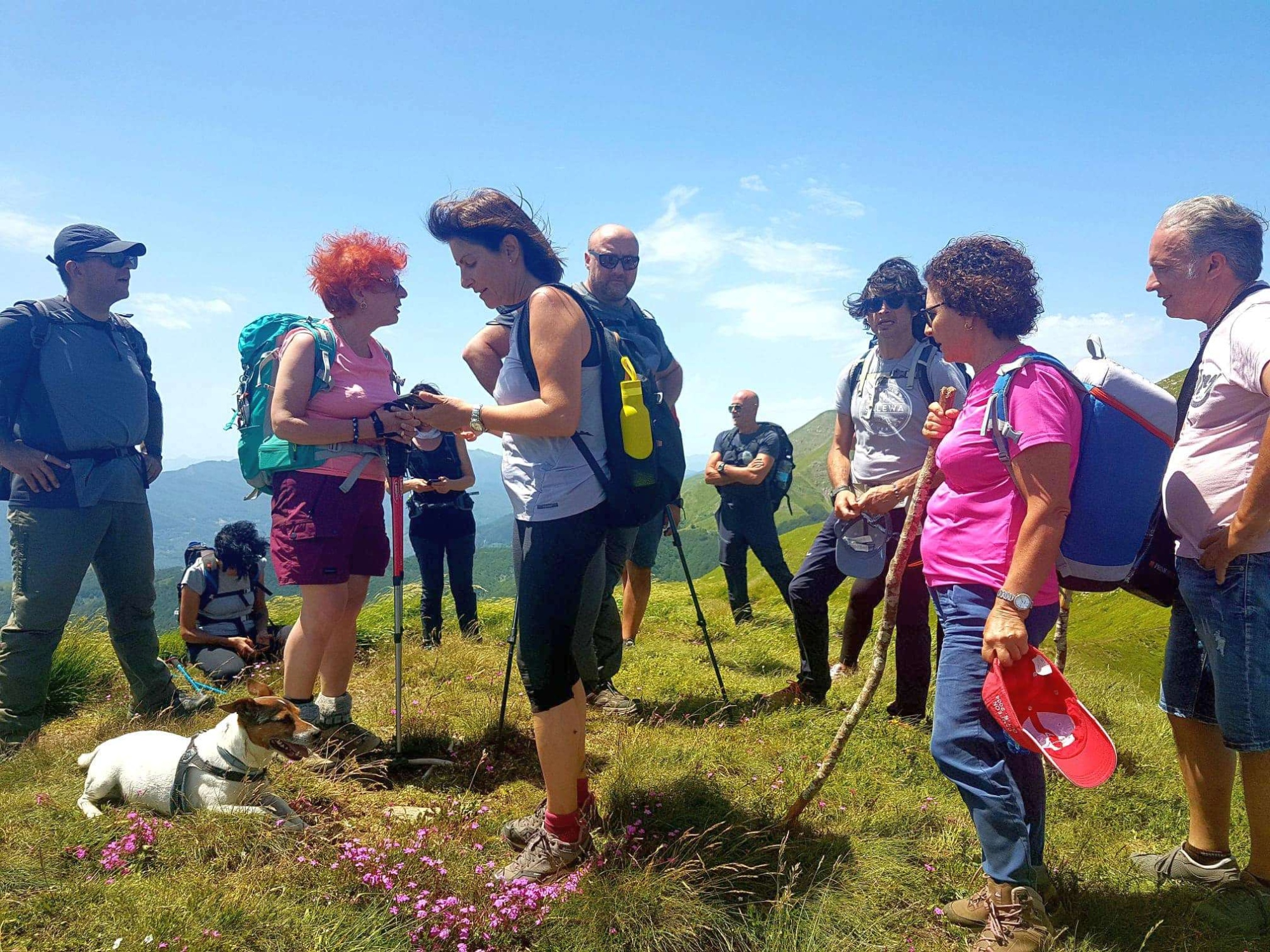 Il borgo di Gerfalco, le Cornate e la viola Etrusca