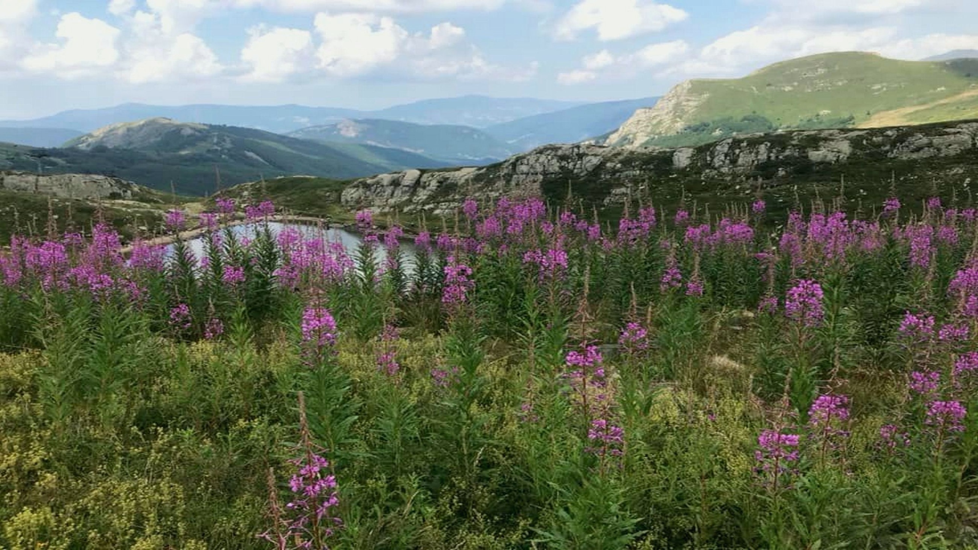 Un itinerario di 13 km sull'Appennino nel territorio di Cutigliano - Doganaccia