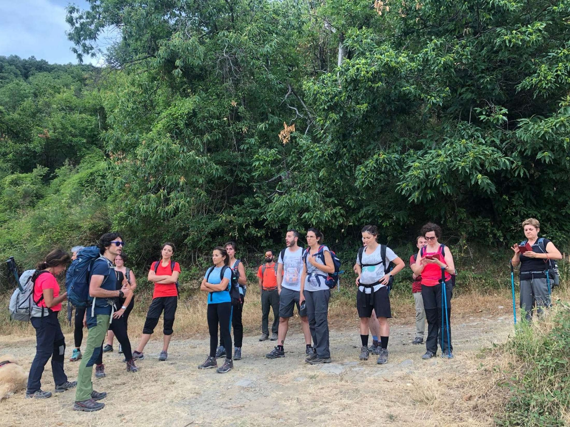 Excursion to the Javello Beeches near Prato