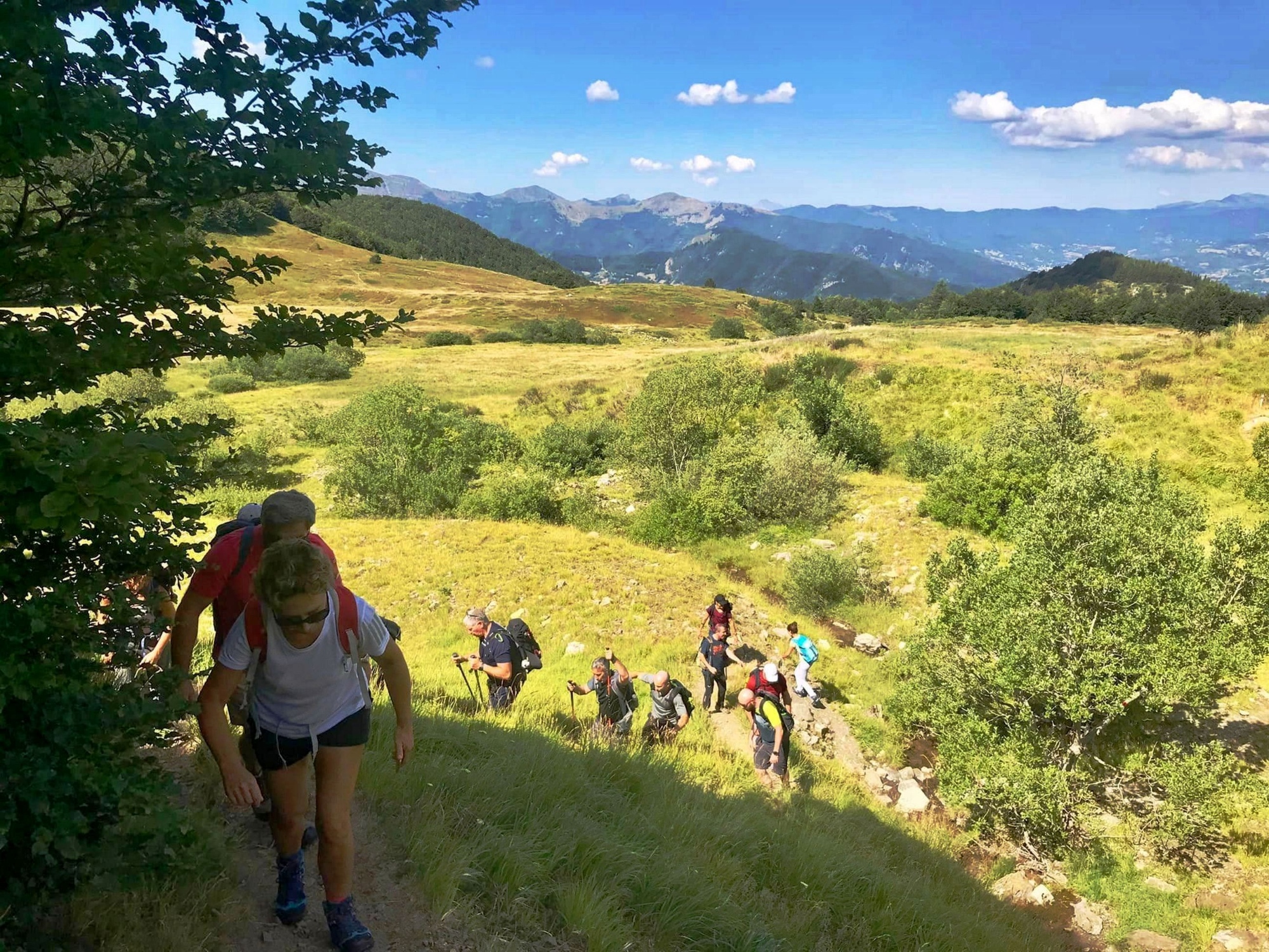 Percorso trekking attorno le Spianate di Castiglioncello in un contesto naturalistico di grande pregio