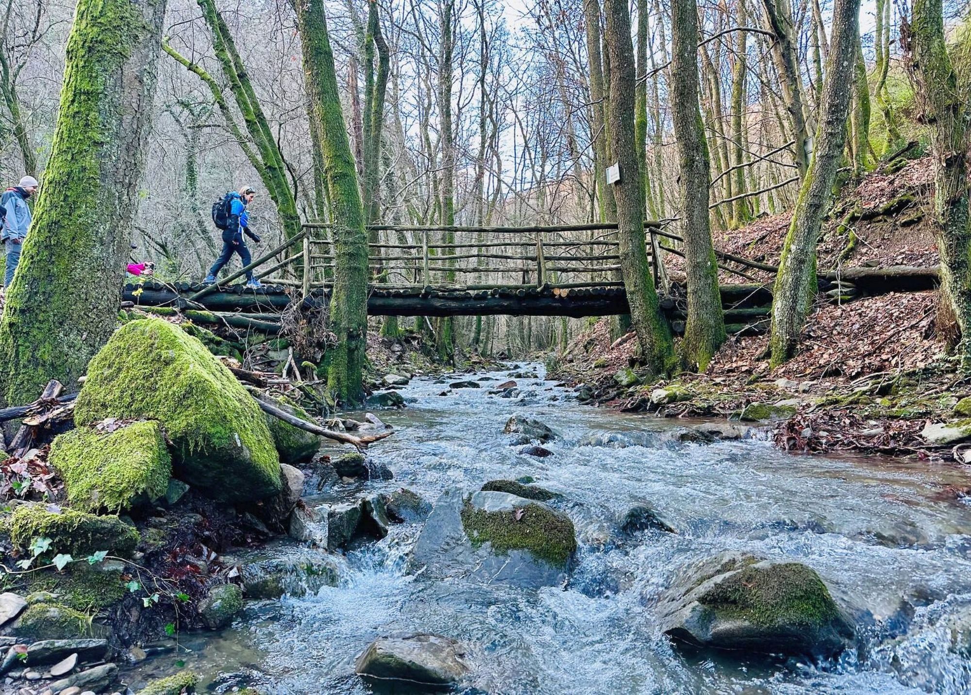 Tour gratuito all'interno del complesso forestale Giogo-Casaglia