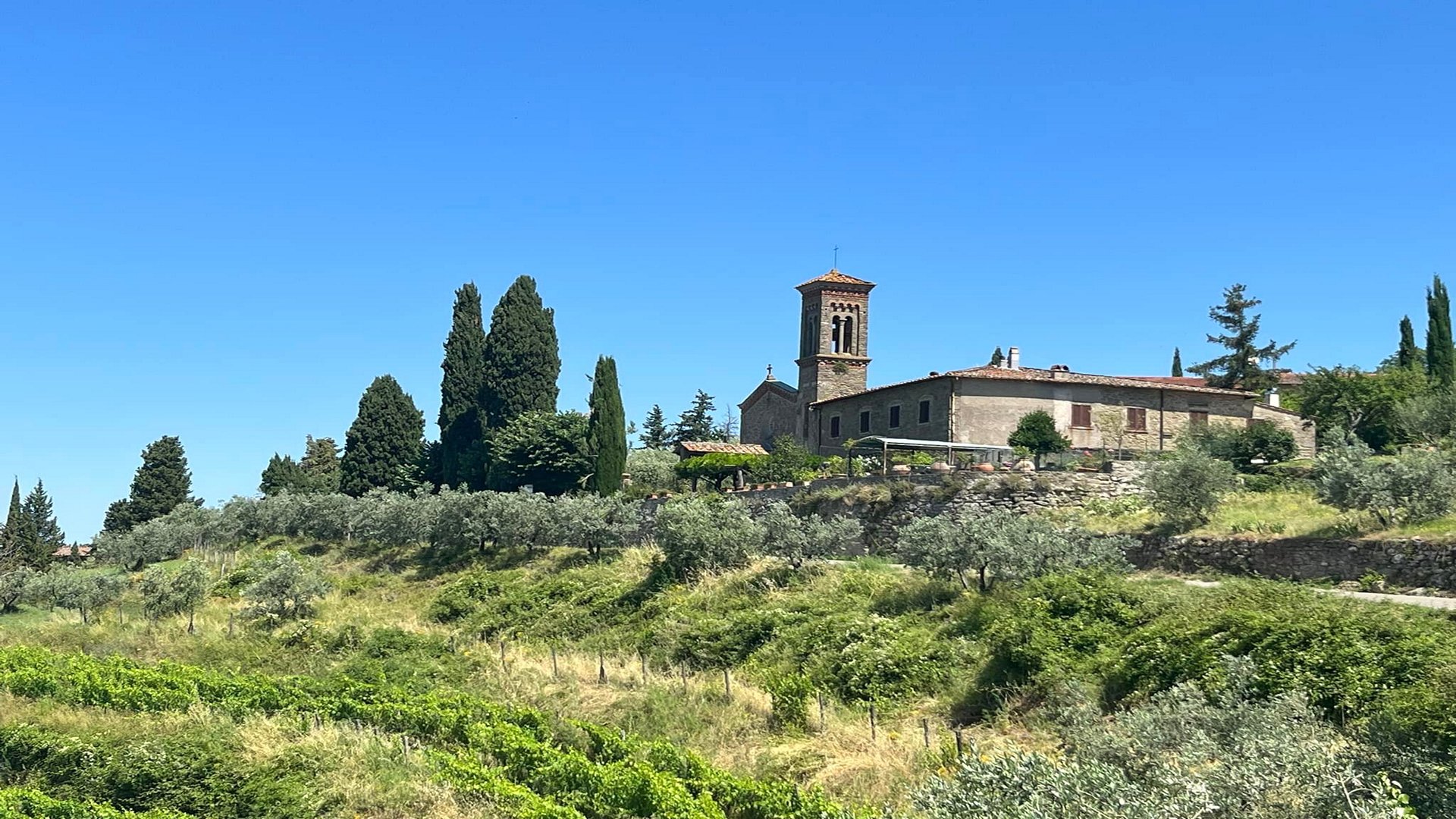 Un tour nel Chianti alla scoperta del territorio di Lamole