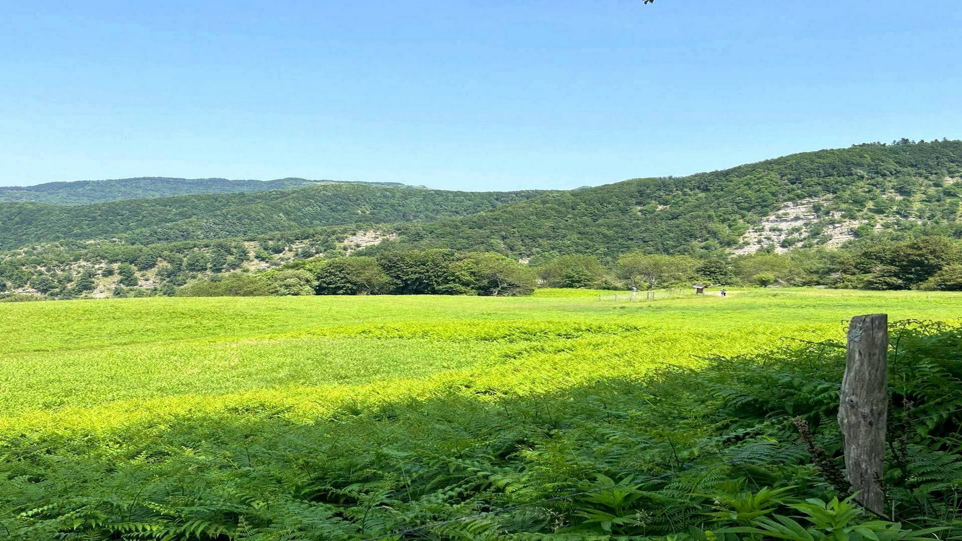 Family trek di 5 km alla Badia di Moscheta