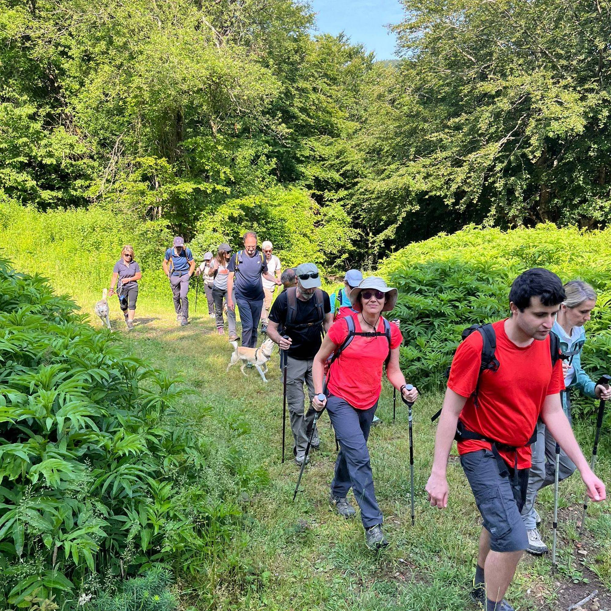  Tour gratuito all'interno del complesso forestale Giogo-Casaglia