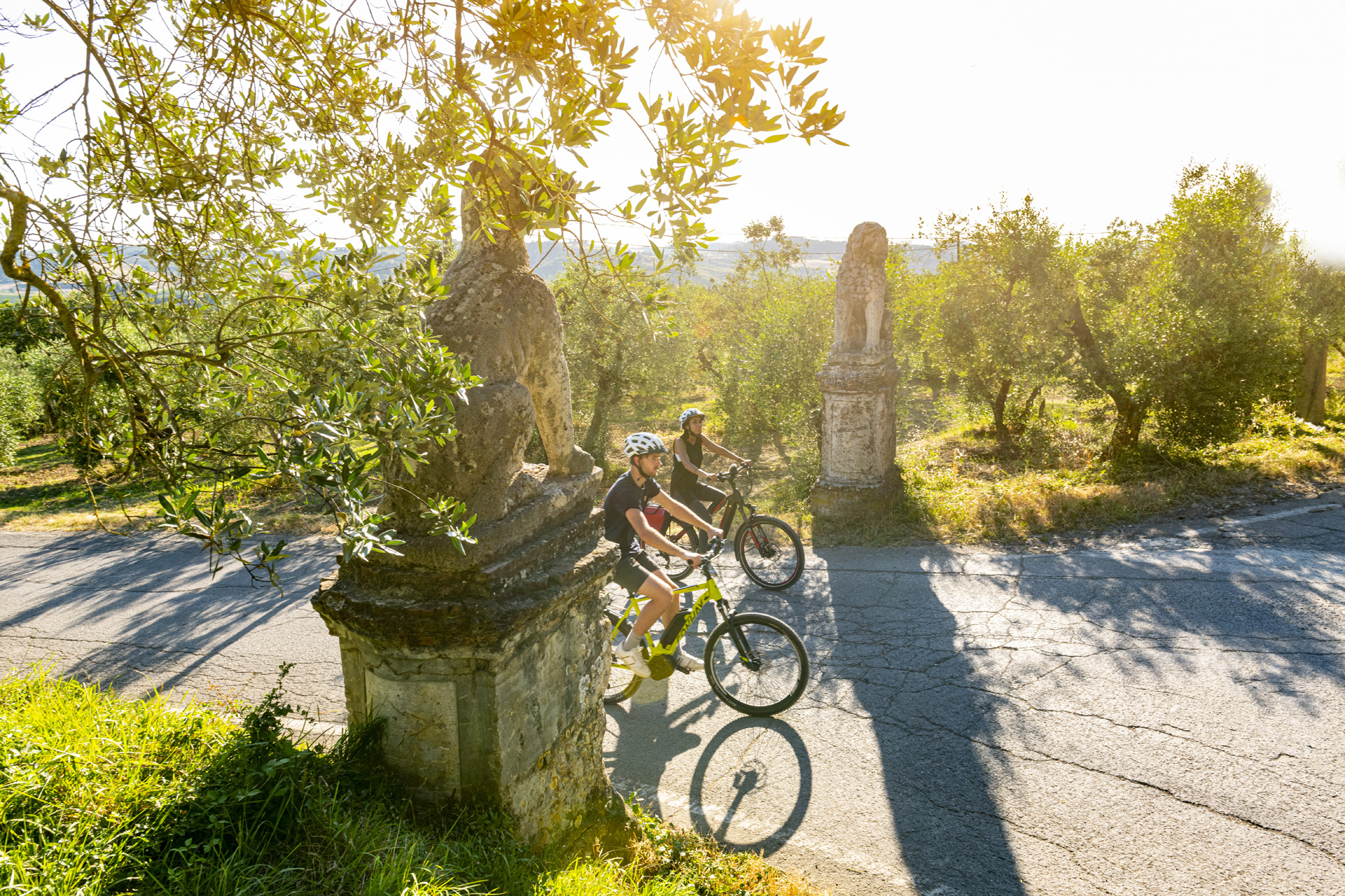 Tour e-bike autentico e sostenibile nel Chianti Colline Fiorentine