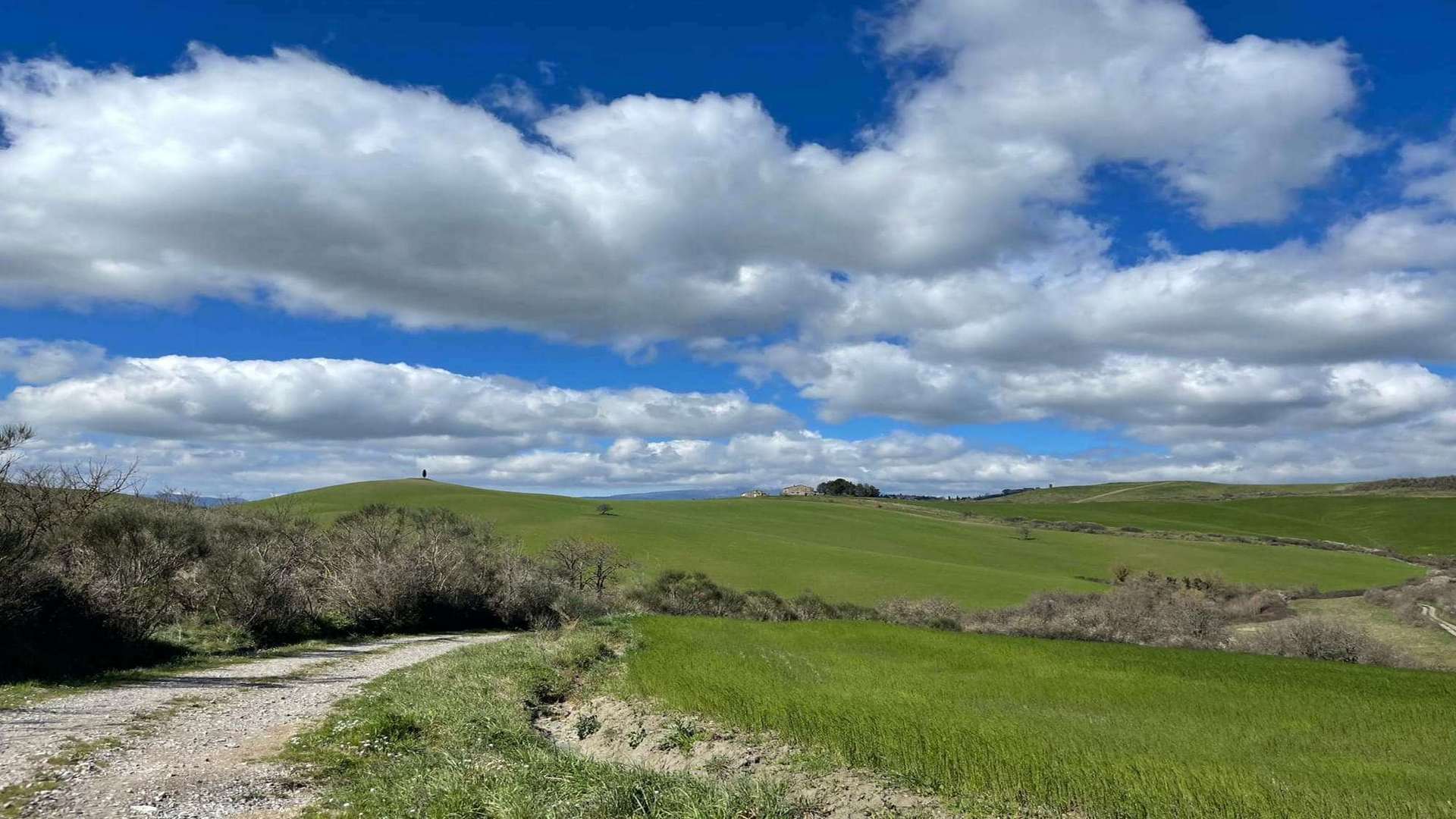 Trekking di 15 km a Casale Marittimo, nell'interno della provincia di Pisa