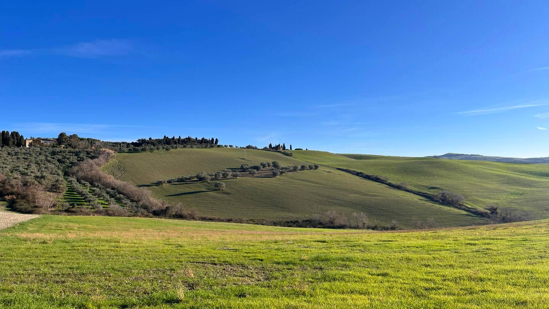 Tour alla scoperta dei due splendidi borghi fortificati di Radicondoli e Belforte