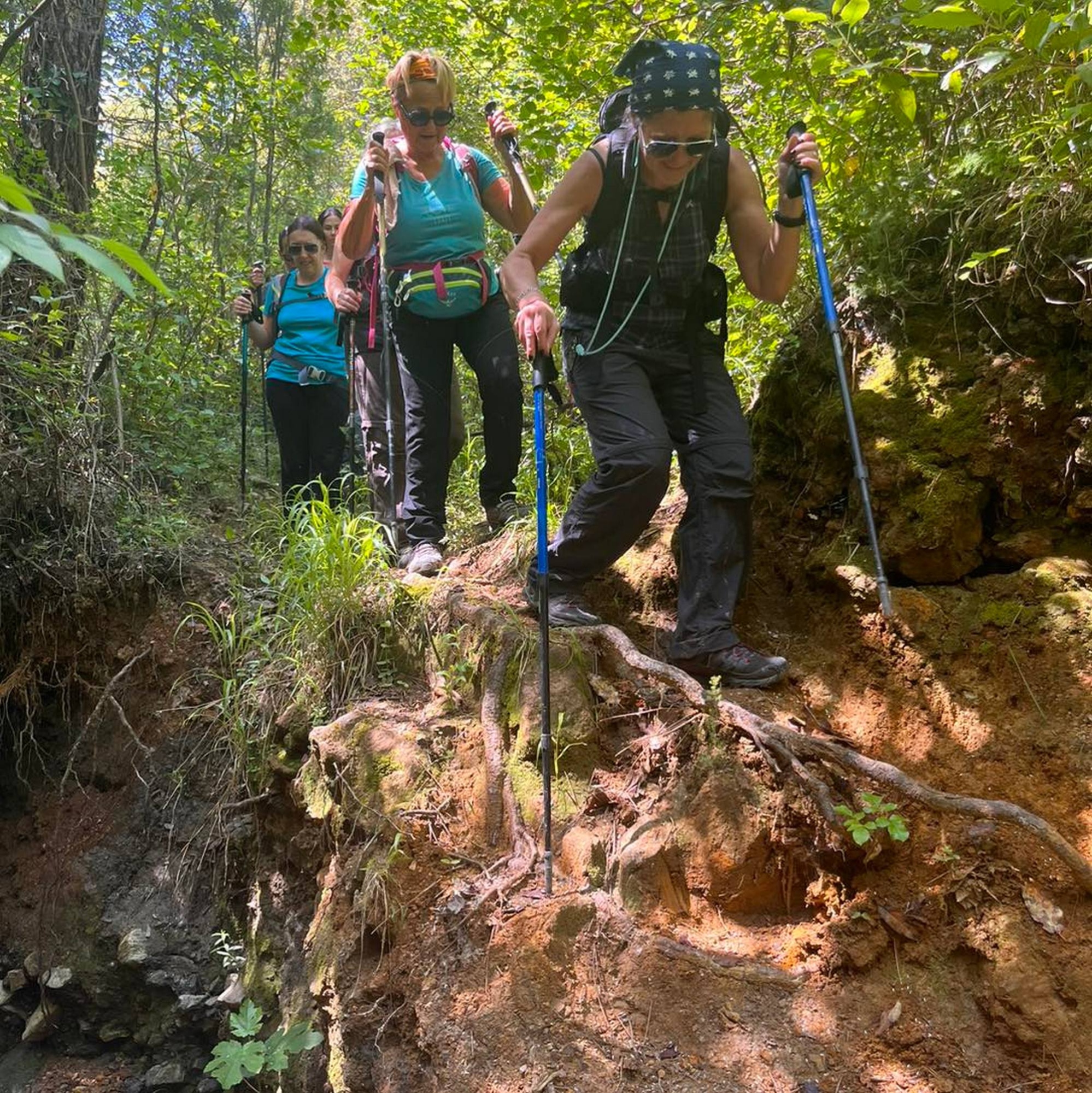 iPercorso trekking attorno le Spianate di Castiglioncello in un contesto naturalistico di grande pregio