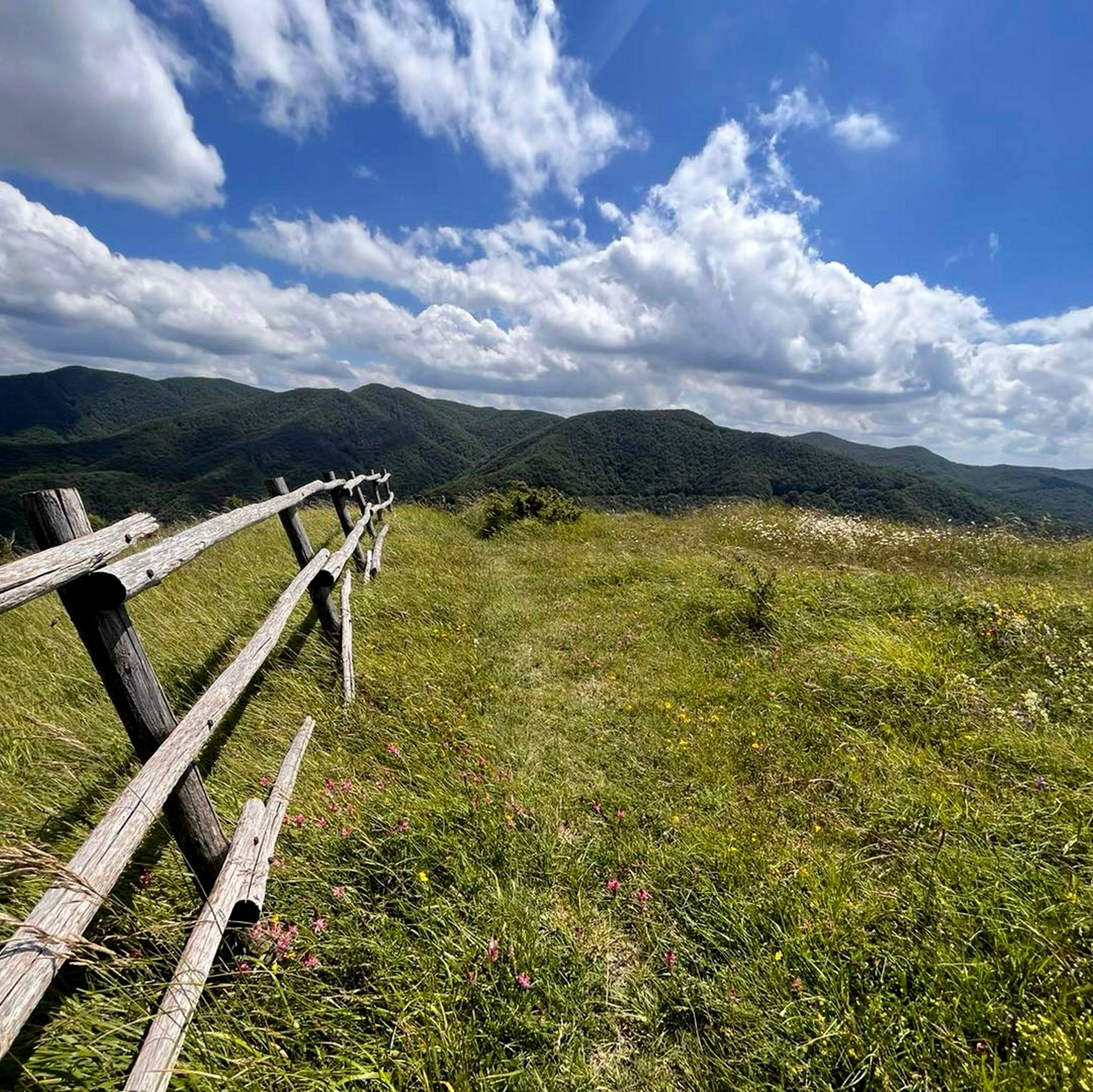 Family trek di 5 km alla Badia di Moscheta