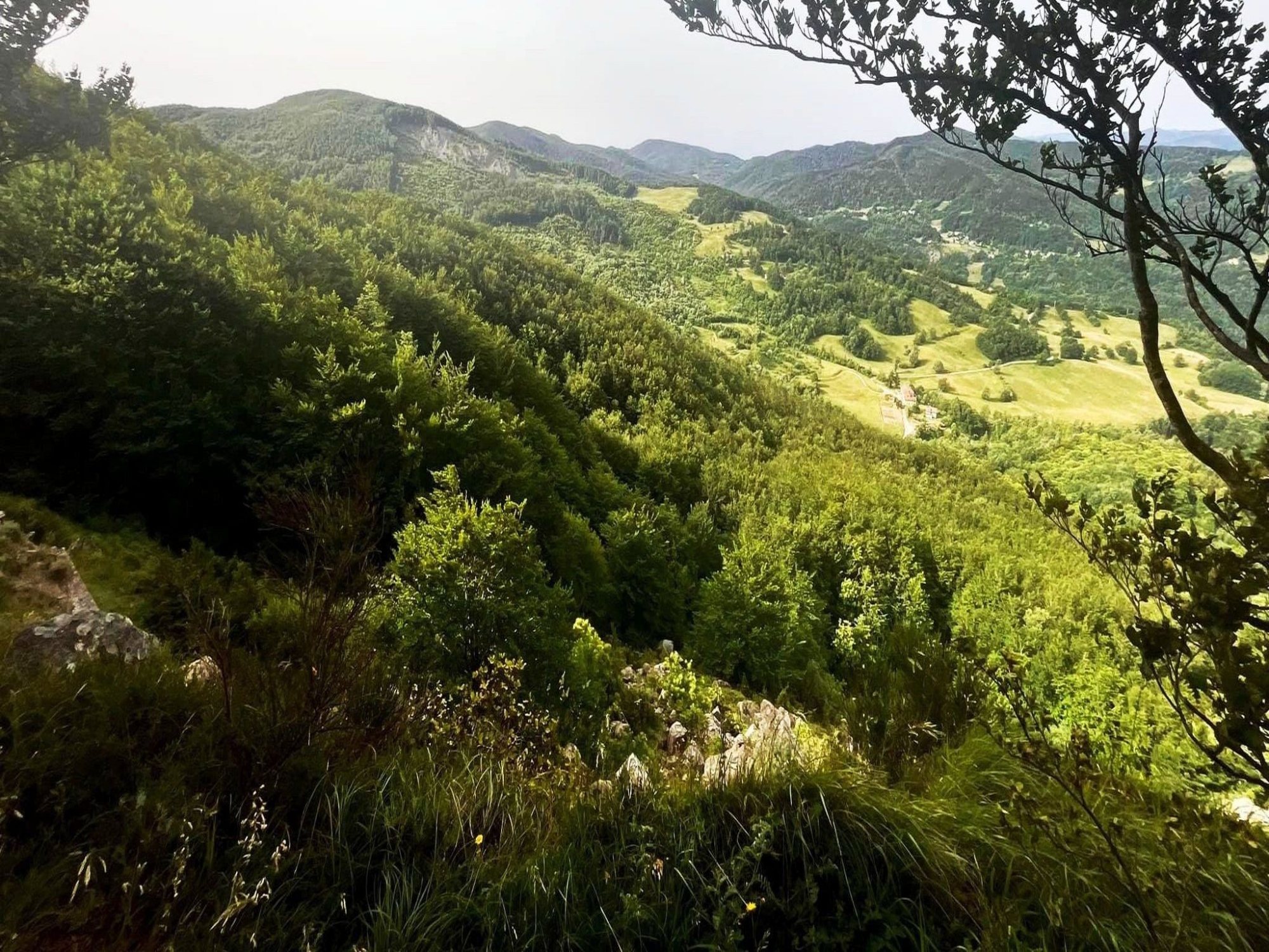 The village of Gerfalco, the Cornate and the Etruscan violet