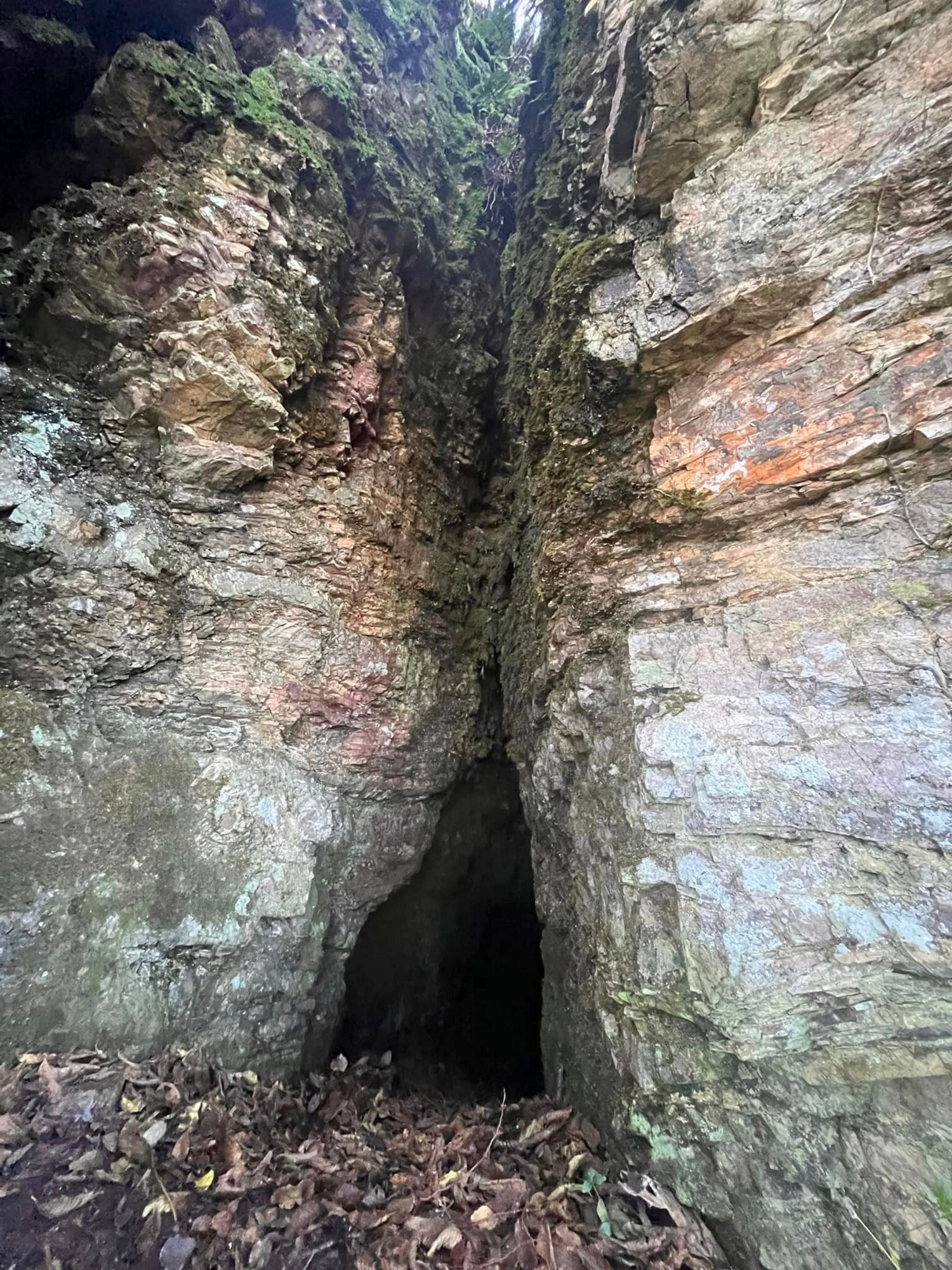 Escursione dalle mille emozioni alla scoperta del territorio di Montieri nel cuore delle Colline Metallifere. 