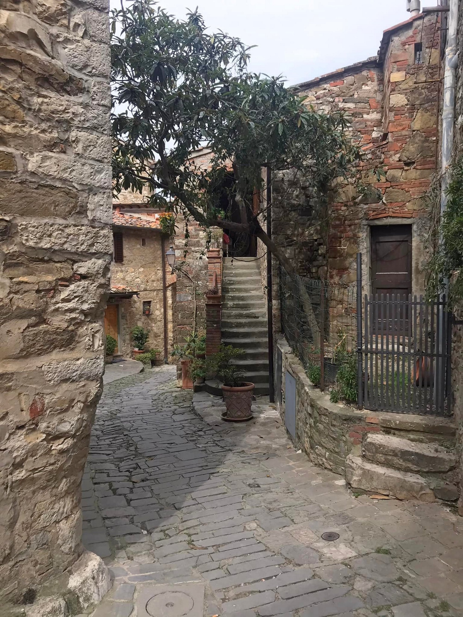 Escursione da Greve in Chianti a Montefioralle in occasione della famosa Sagra delle Frittelle