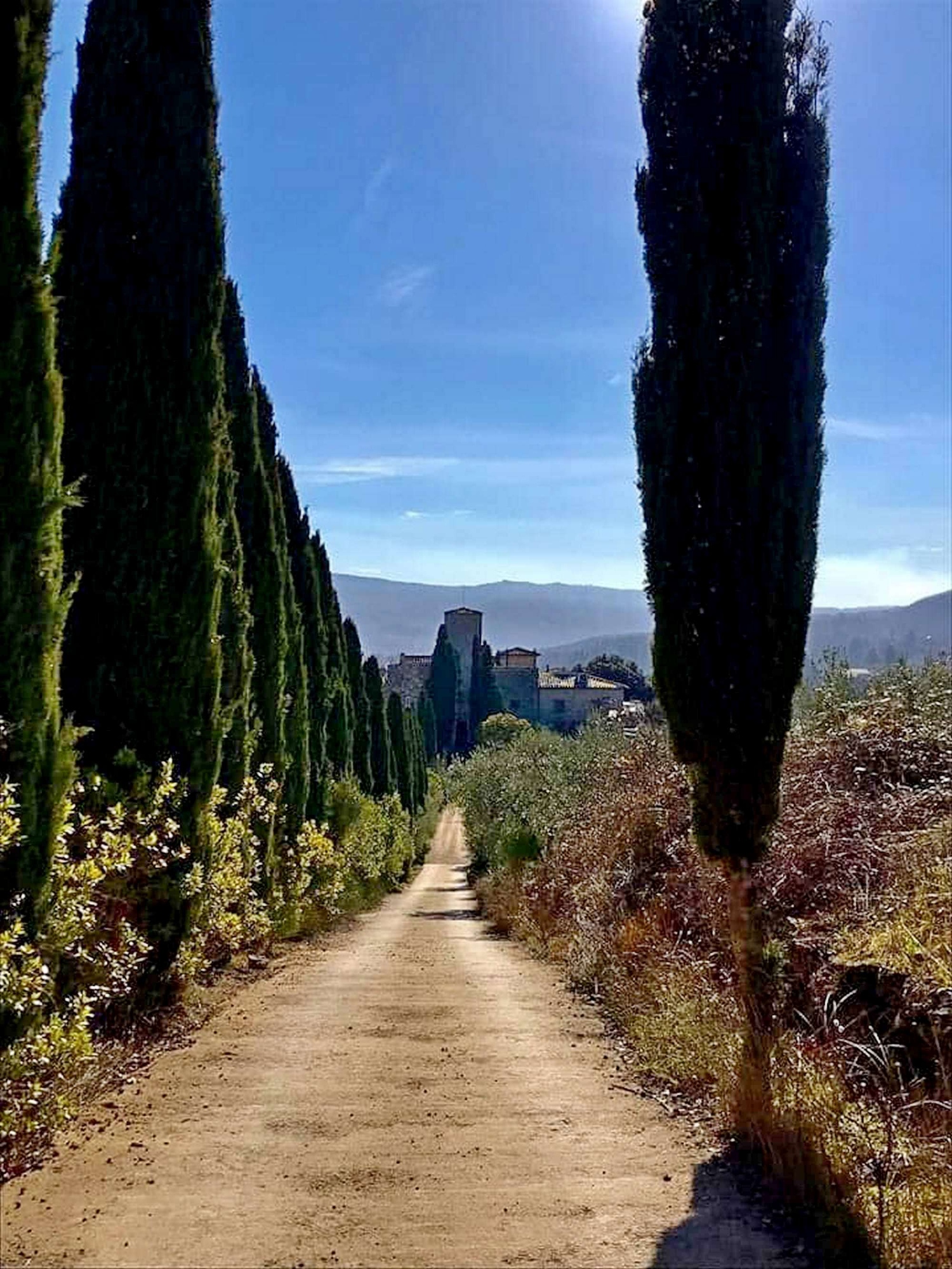 Escursione da Greve in Chianti a Montefioralle in occasione della famosa Sagra delle Frittelle