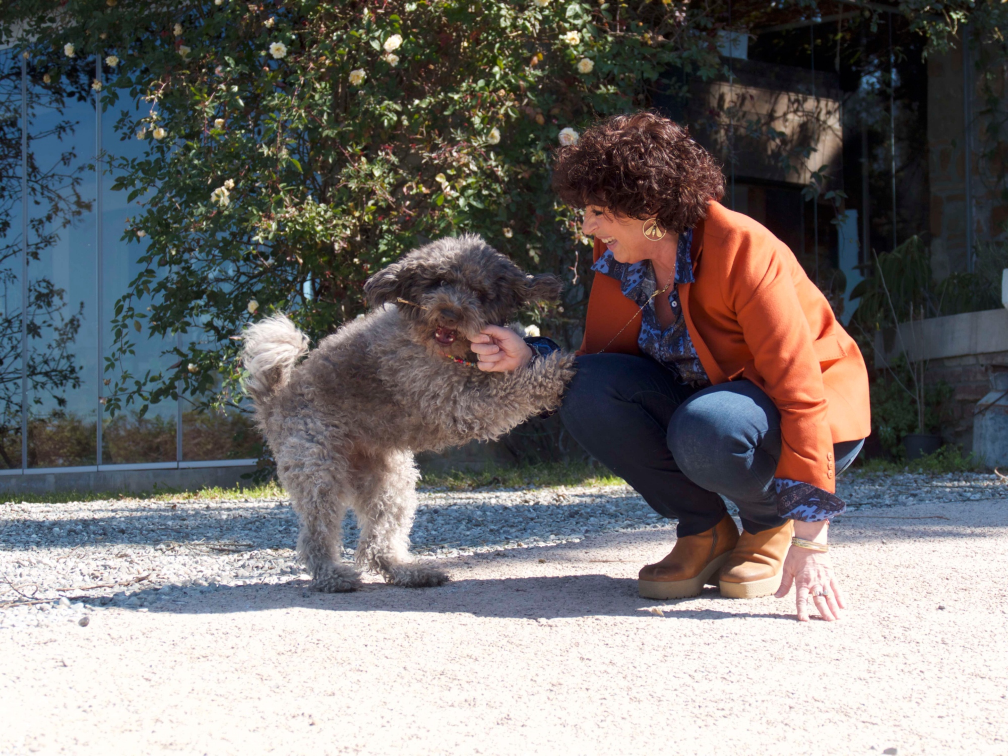 Three days in Maremma in exclusive suites with your four-legged friend