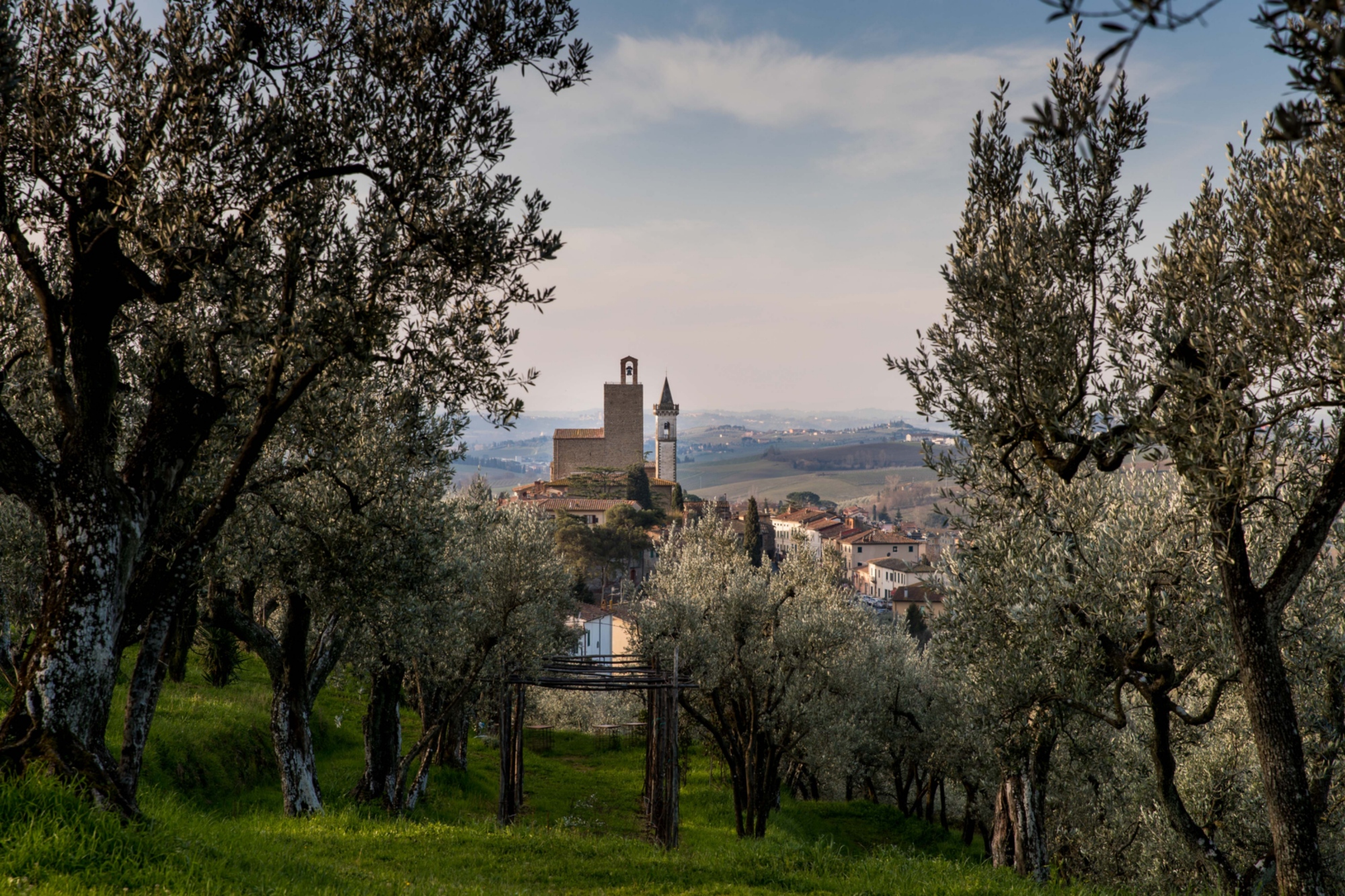 Vista di Vinci dal Parco Acquaria