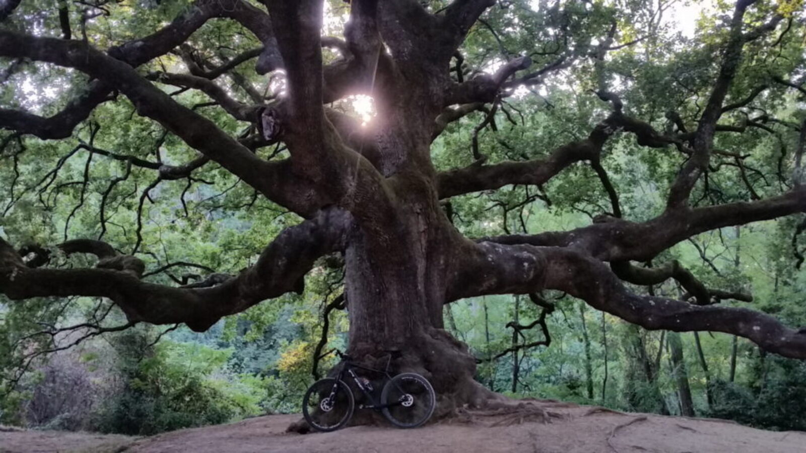 Cinque giorni in bicicletta nel cuore dalla Toscana