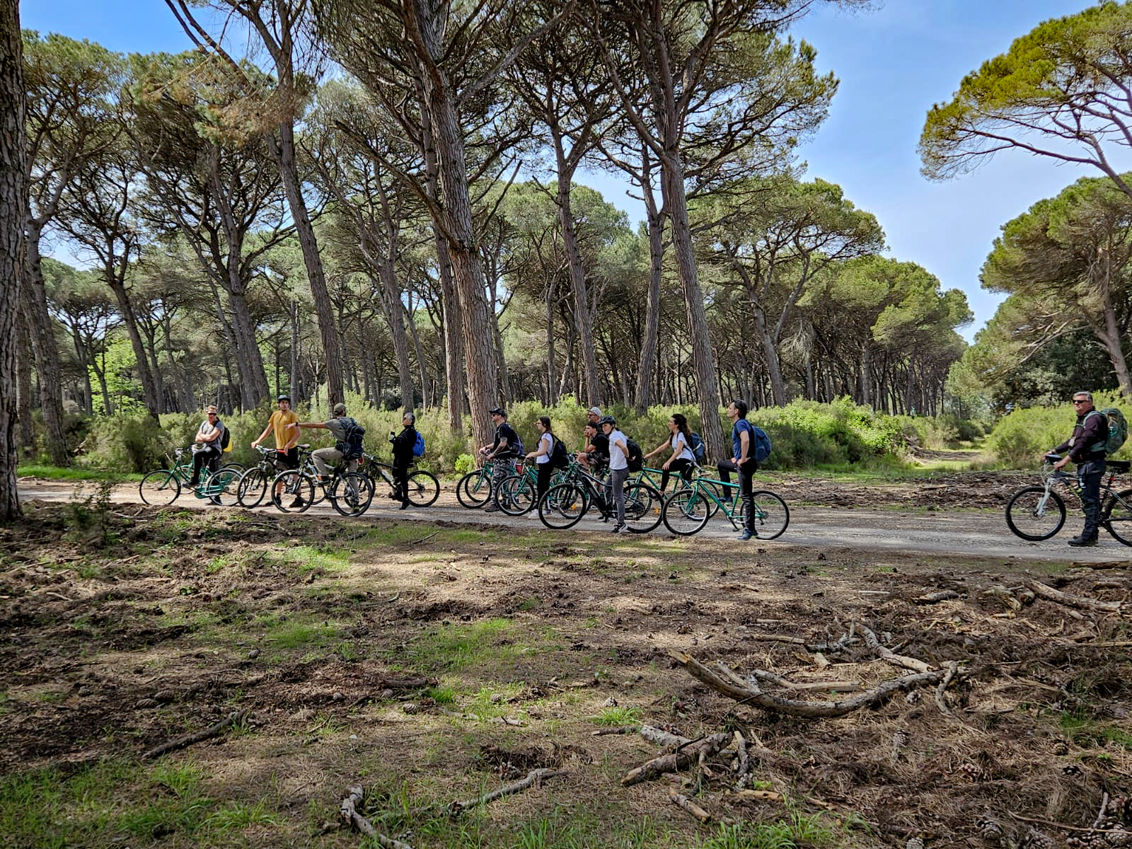 Bike trekking nel Parco Naturale di San Rossore