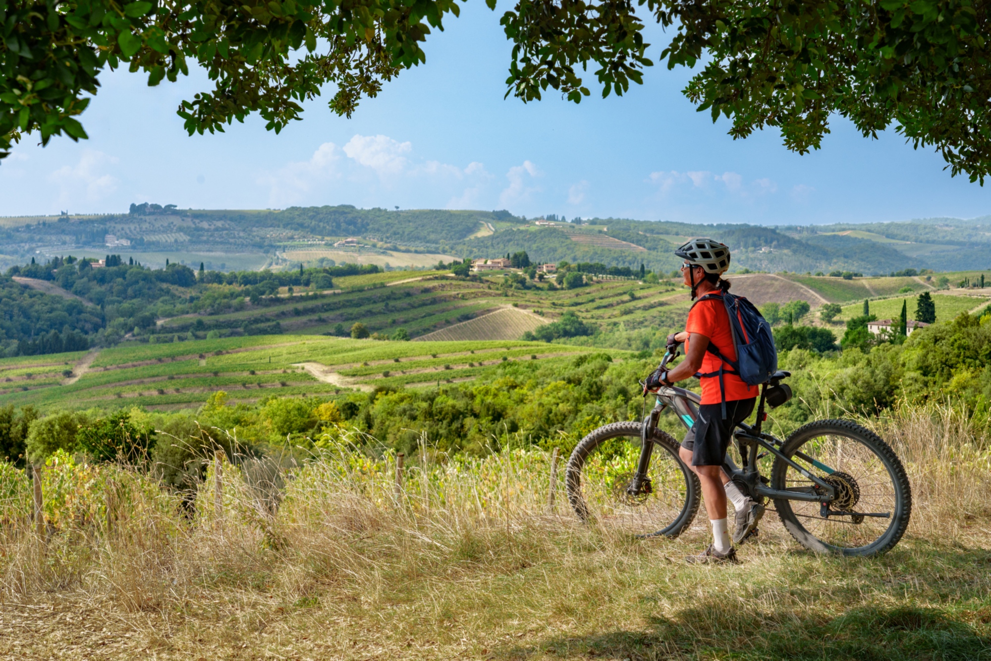 Da San Gimignano a Siena e-bike tour