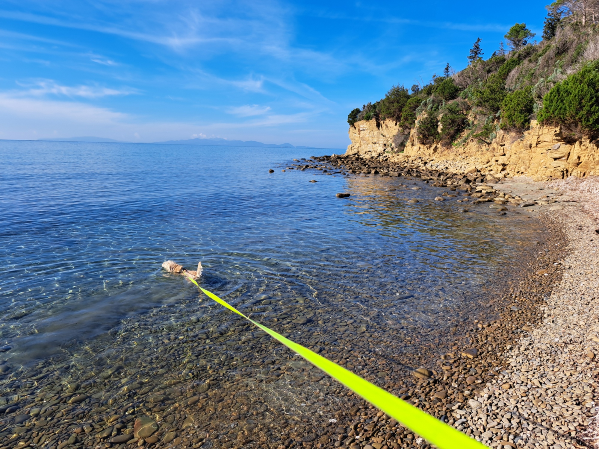 Tre notti a Principina Mare, dog-vacanza per il ponte del 1 maggio in Maremma