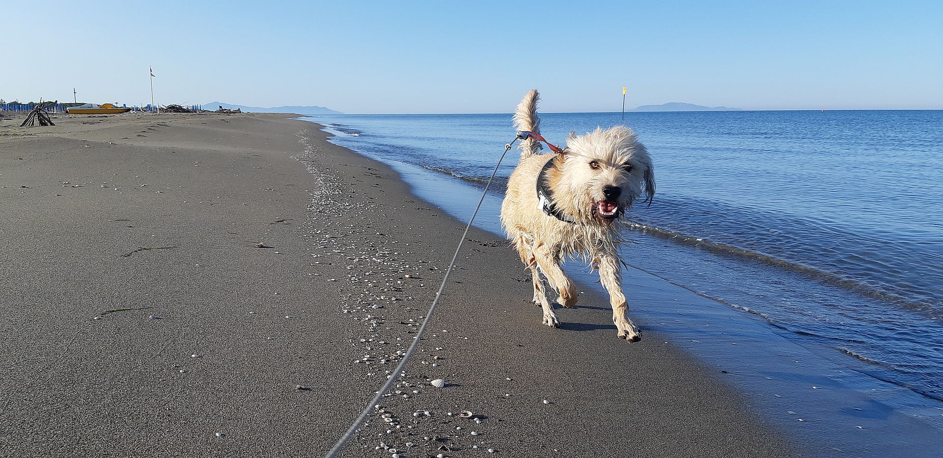 Tre notti a Principina Mare, dog-vacanza per il ponte del 1 maggio in Maremma