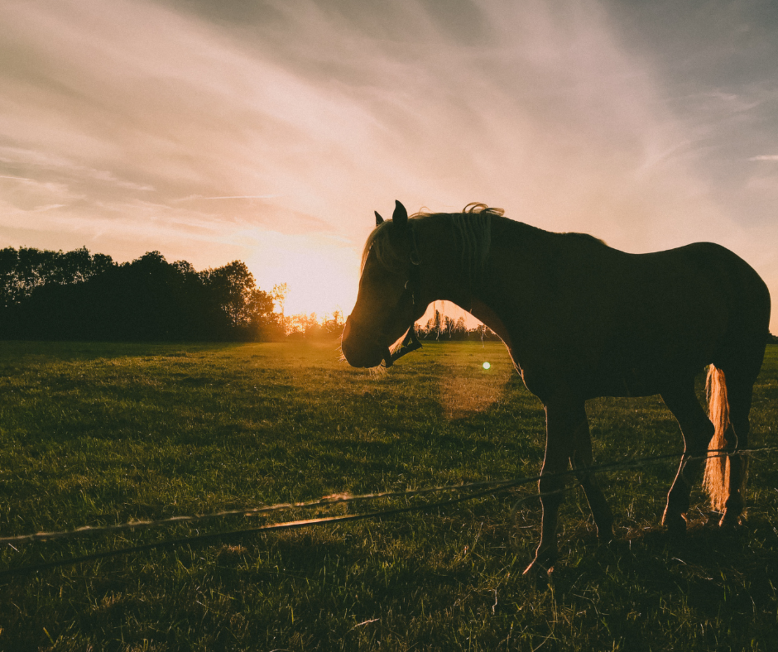 Un weekend in natura per una magica avventura equeste in Toscana