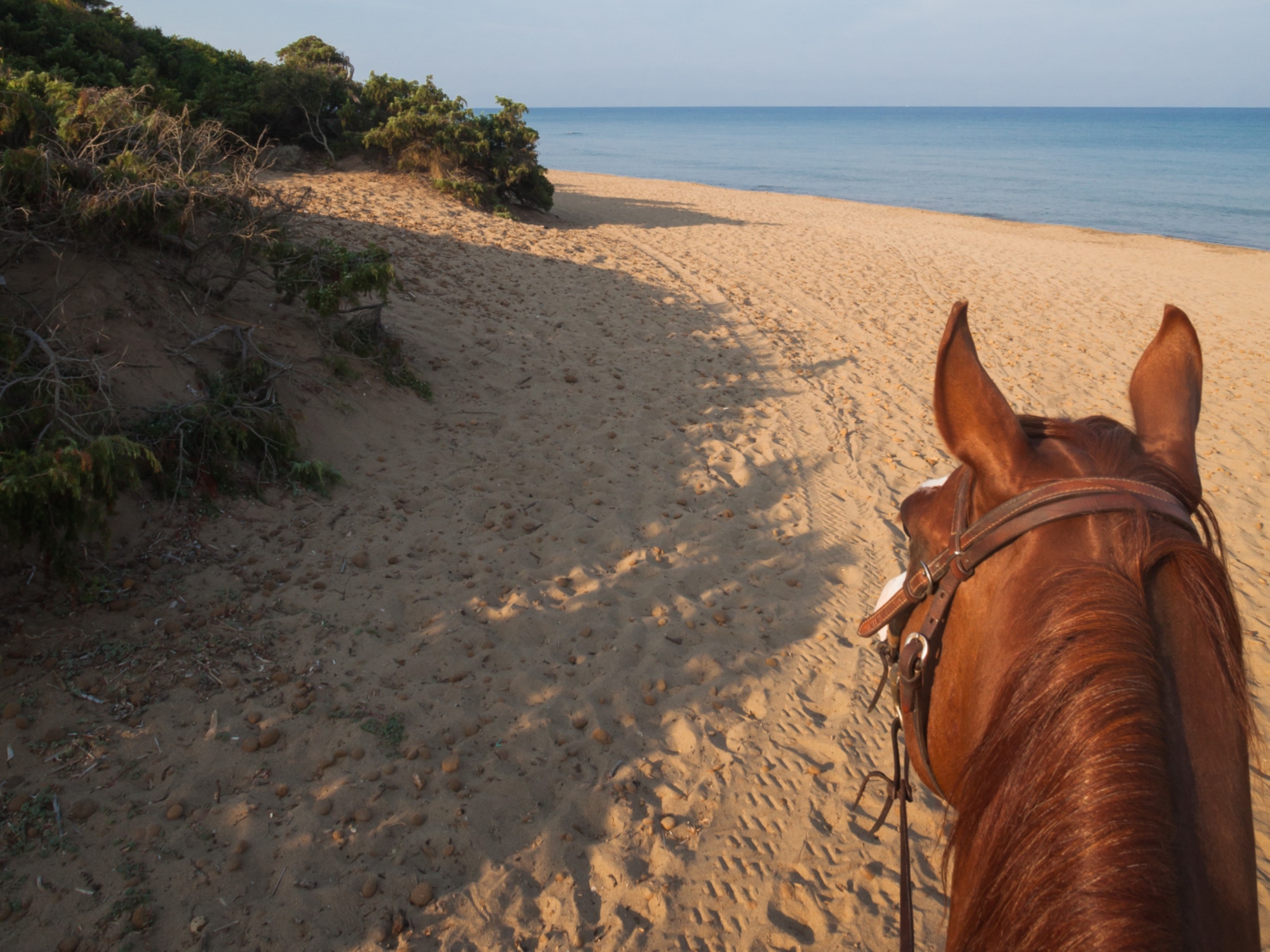 A cavallo lungo la spiaggia