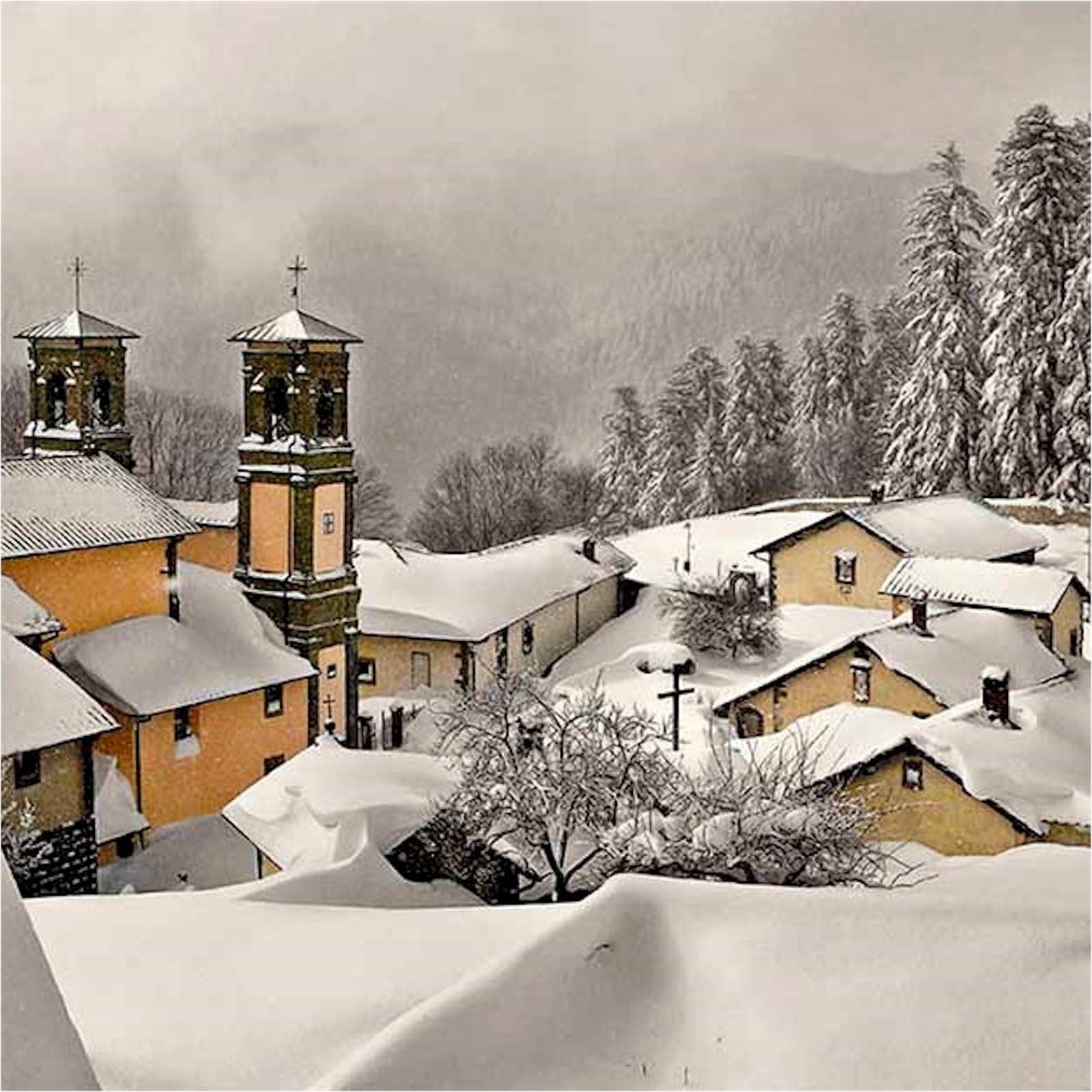 Ciaspolata nella foresta sacra di Camaldoli