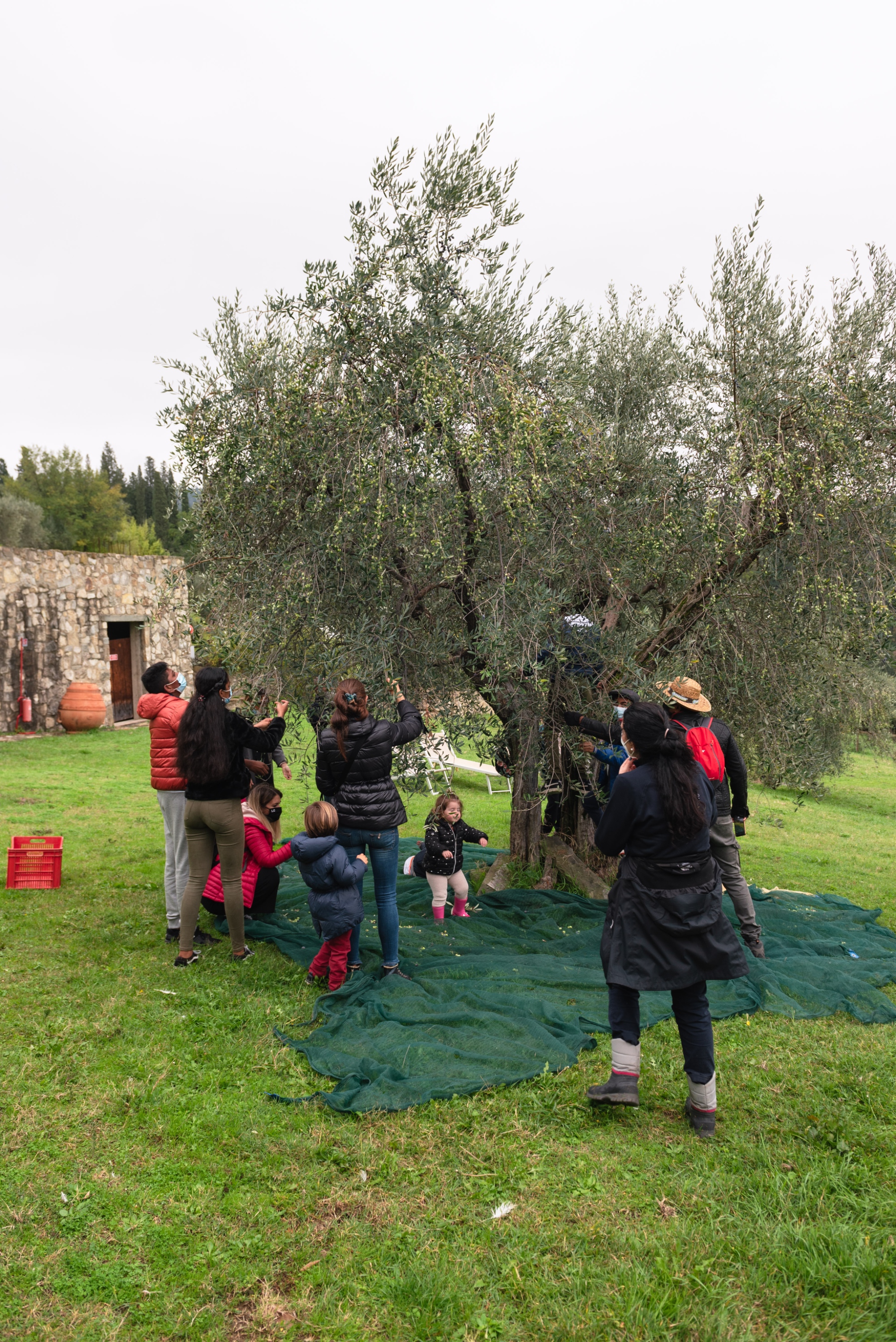 Fattoria di Maiano in Firenze offers experiences with children in Florence