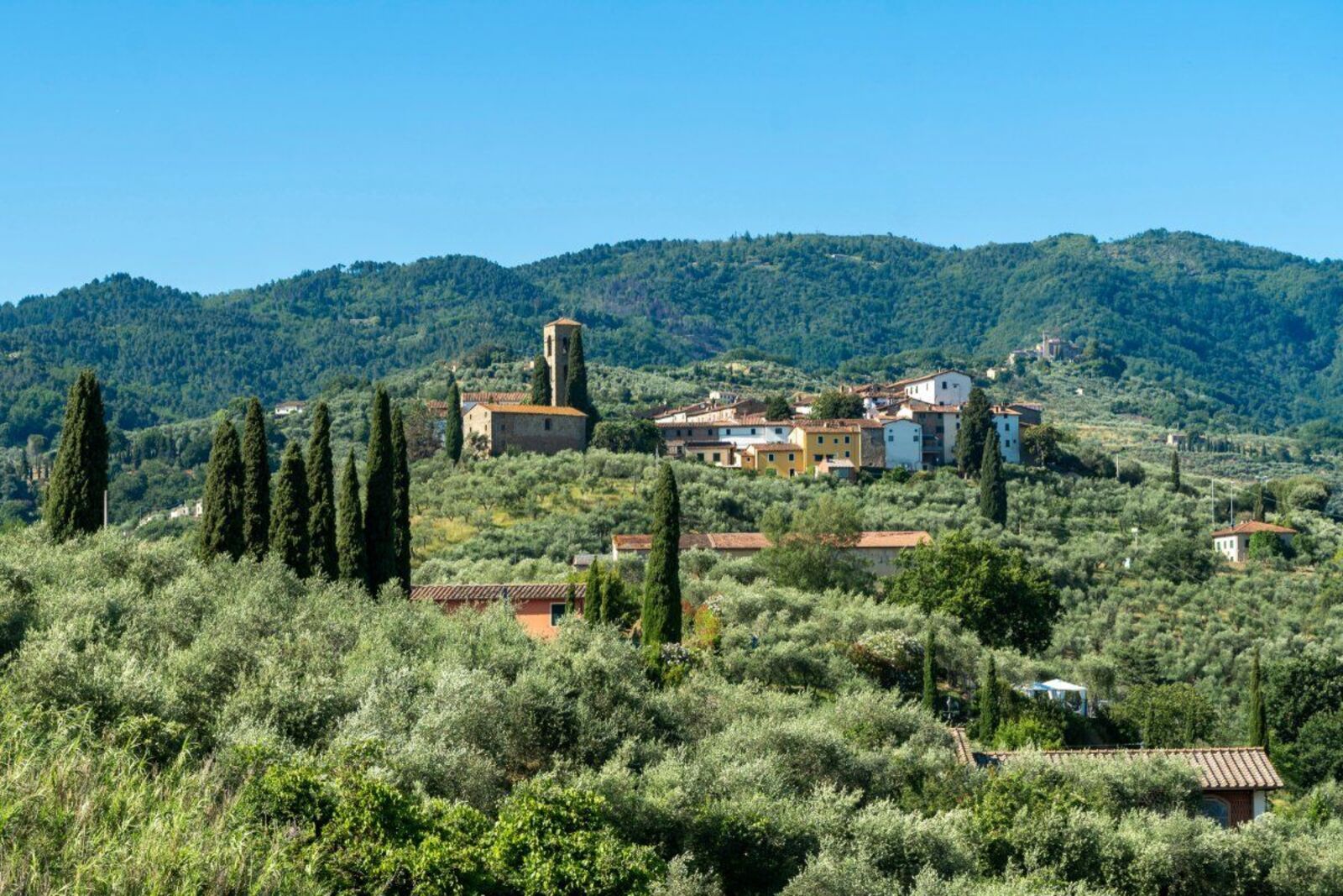 Scopri il borgo di Buggiano Castello: due giorni tra storia, natura e tradizione gastronomica