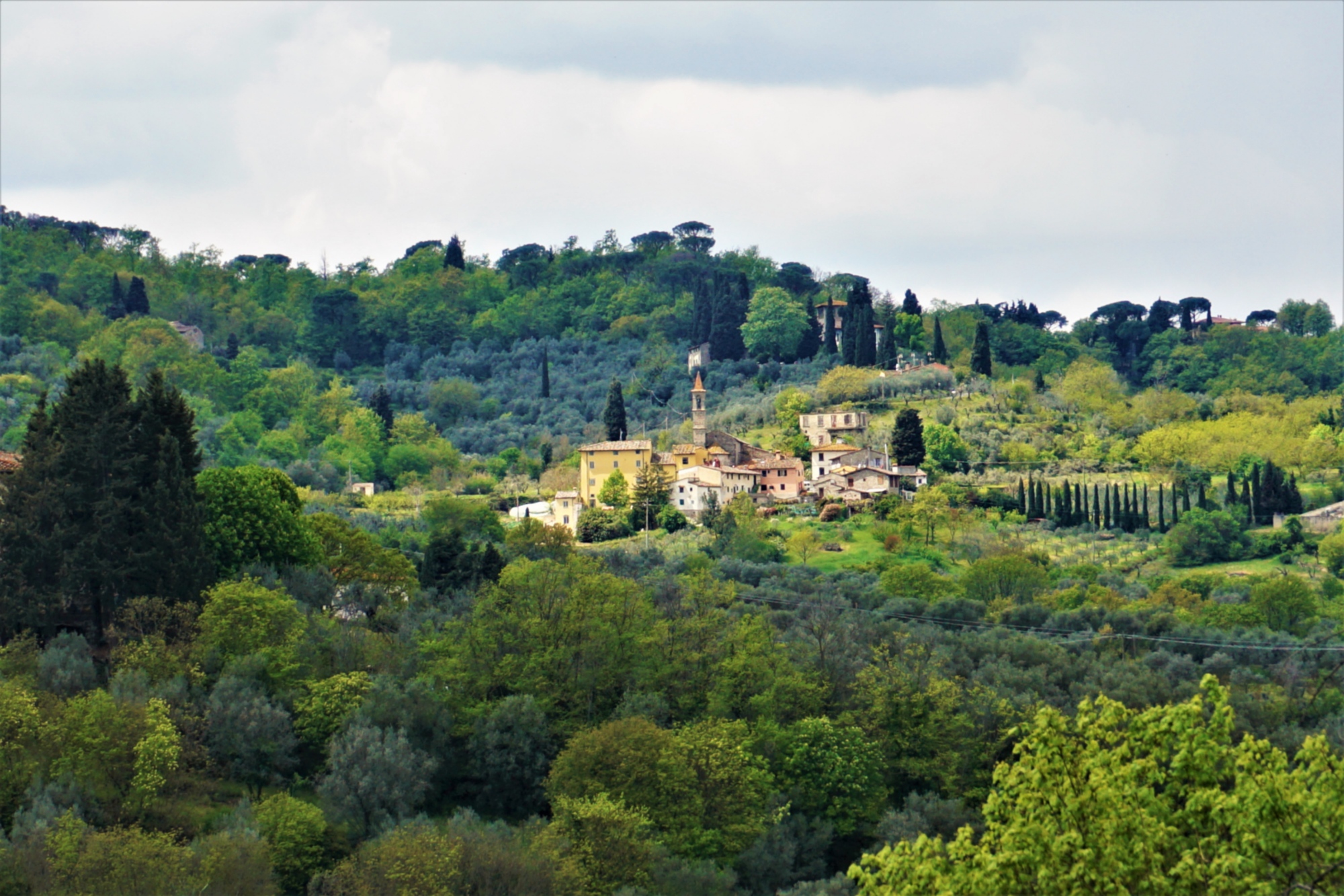 colline di Scandicci