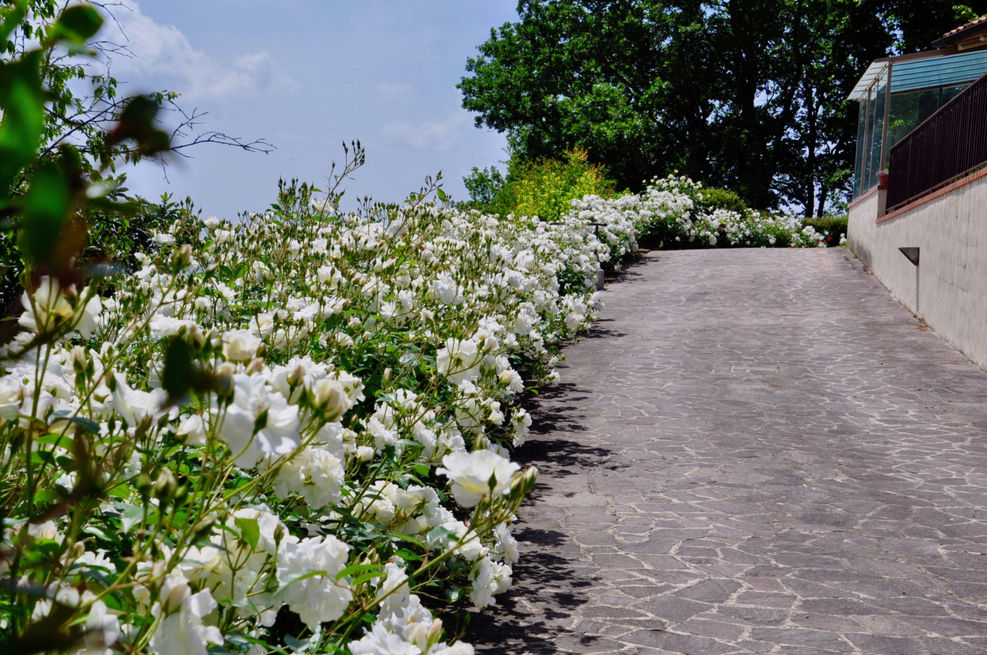 Your stay in an authentic paradise in the Mugello!